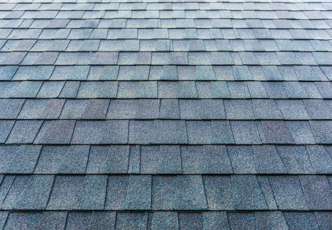 Architectural shingles Grey Bruce Real Estate