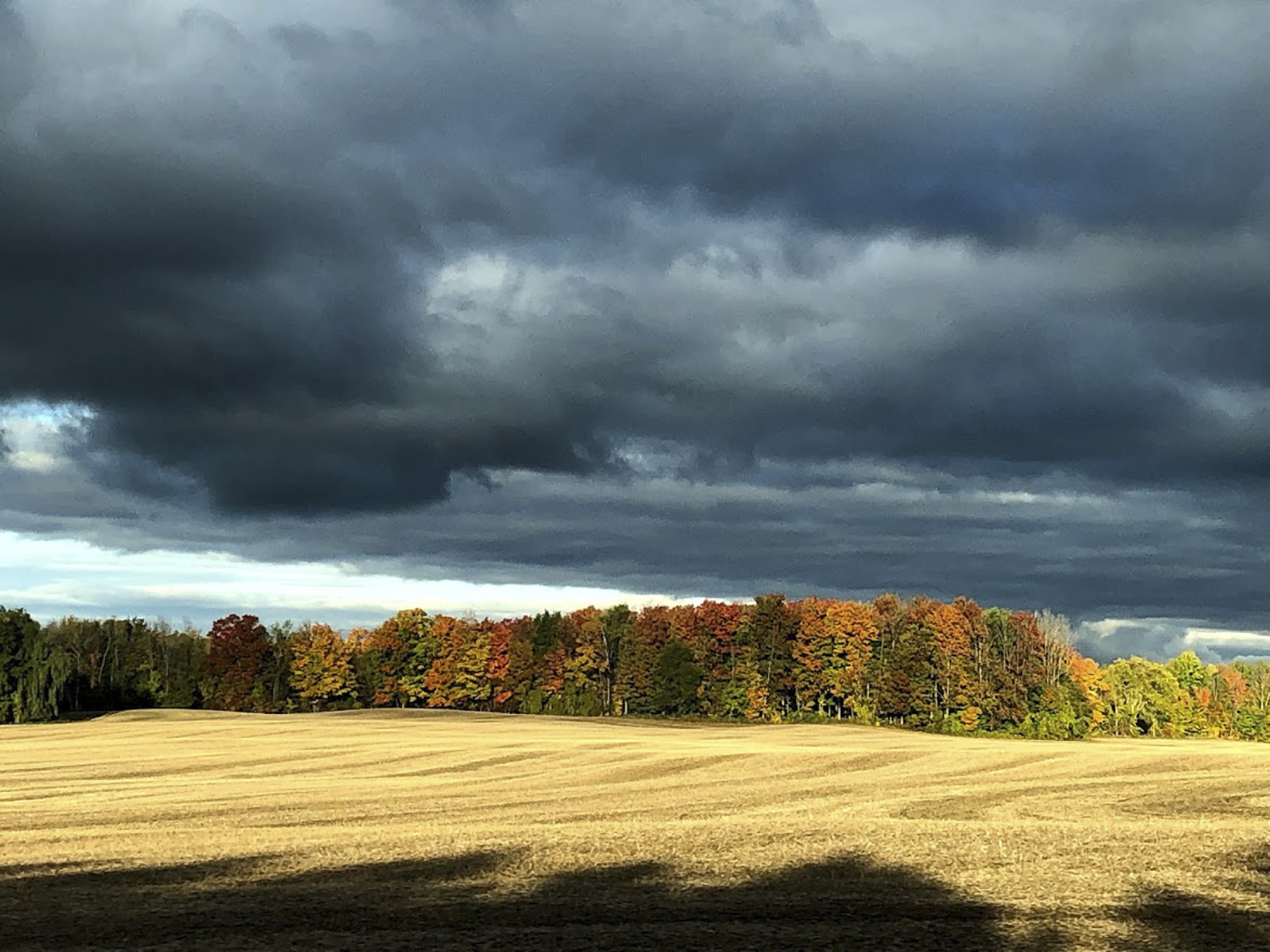 Autumn Drama, Hanover Real Estate - Maryanne McGeachy