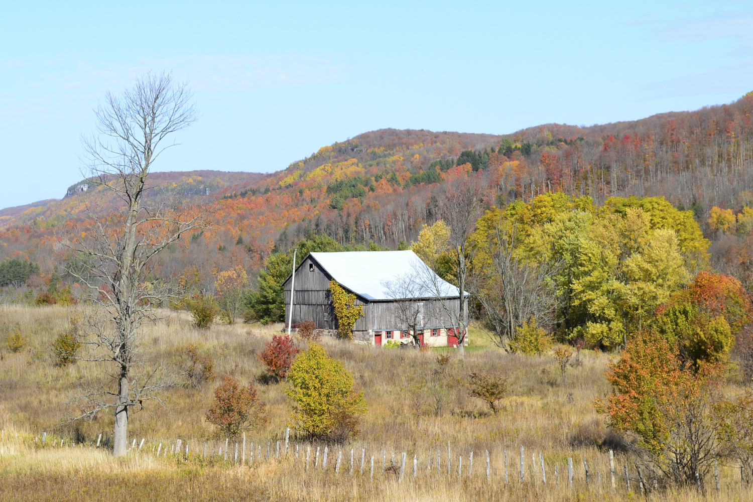 Beaver Valley (Fall) Grey Bruce Real Estate - Mary Blair