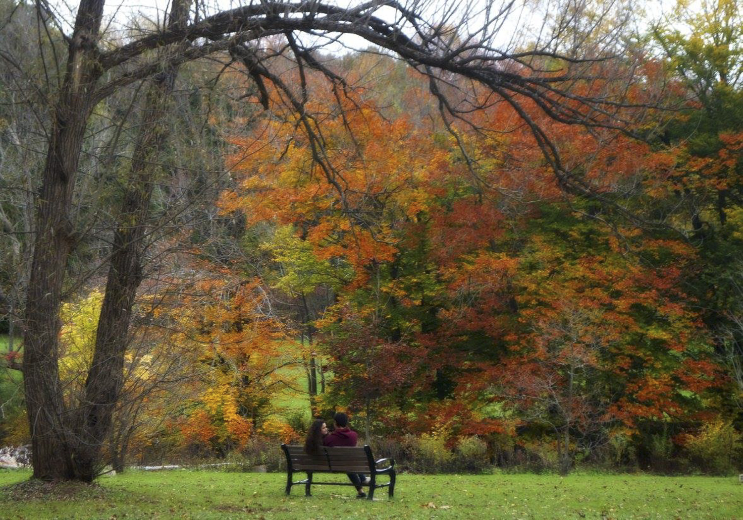 Harrison Park in the Fall 3, Owen Sound Real Estate - Kerri Merriam