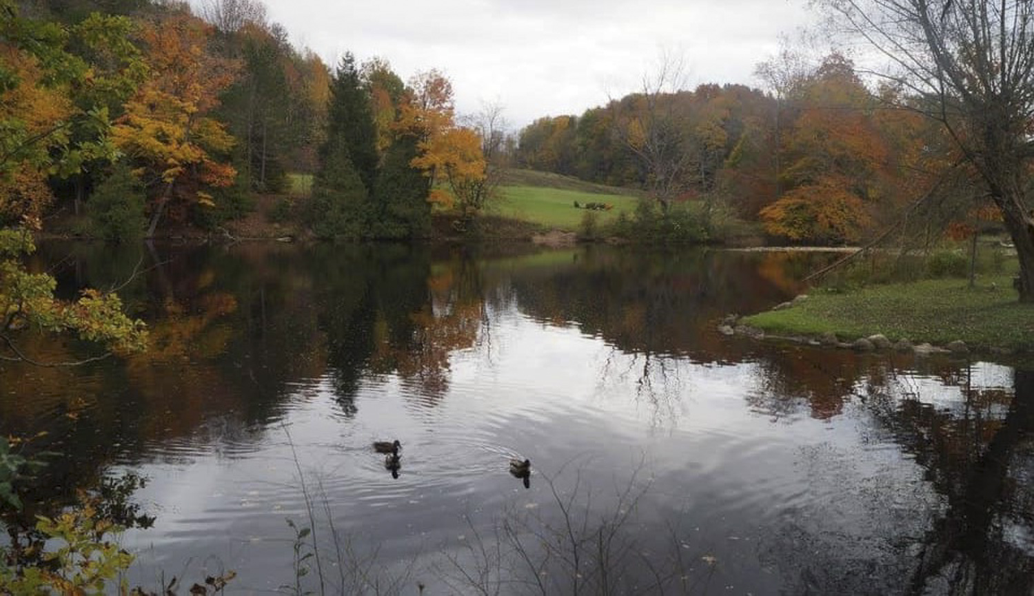 Harrison Park Fall, Owen Sound Real Estate - Kerri Merriam