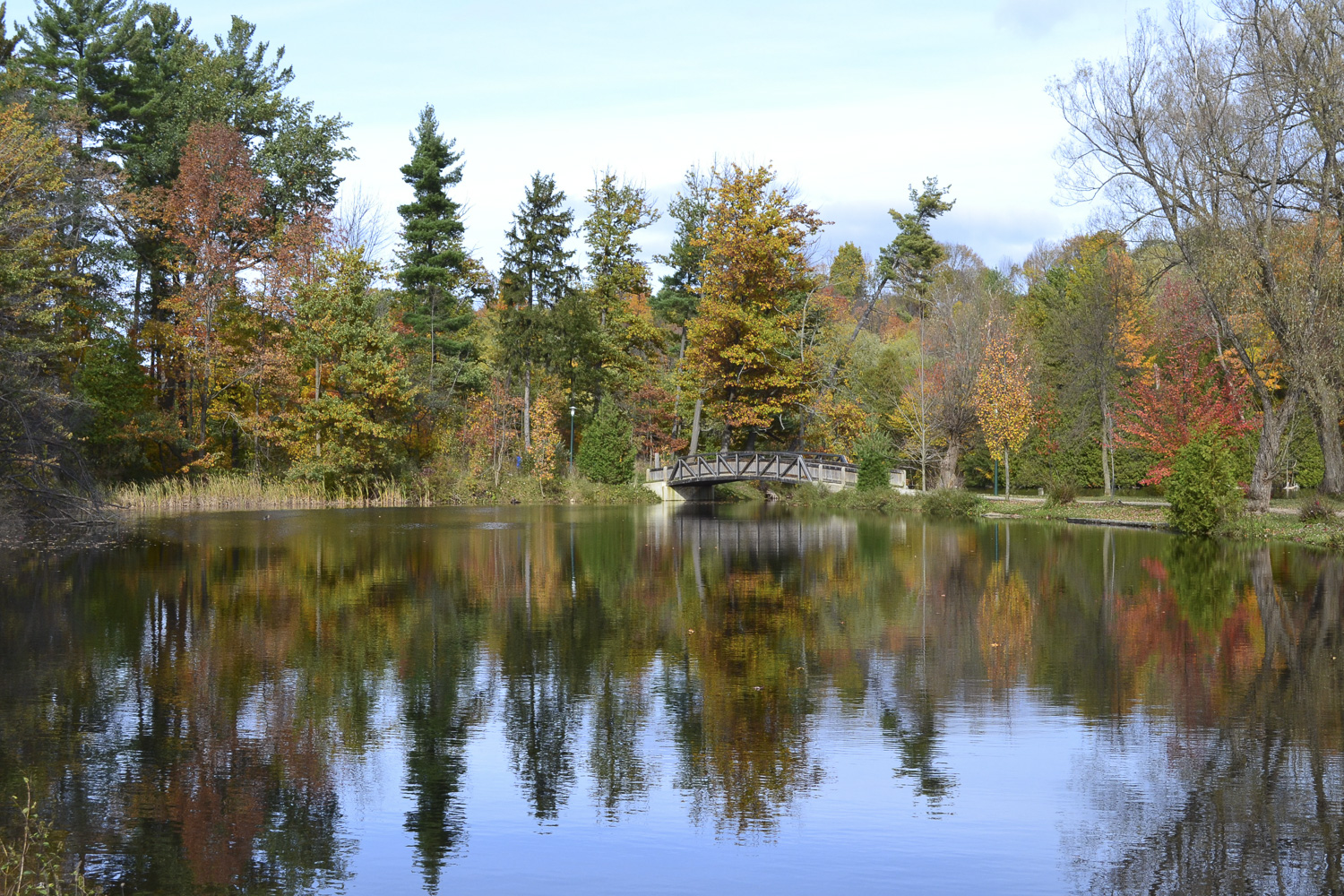 Harrison Park (Fall), Owen Sound Real Estate - Mary Blair