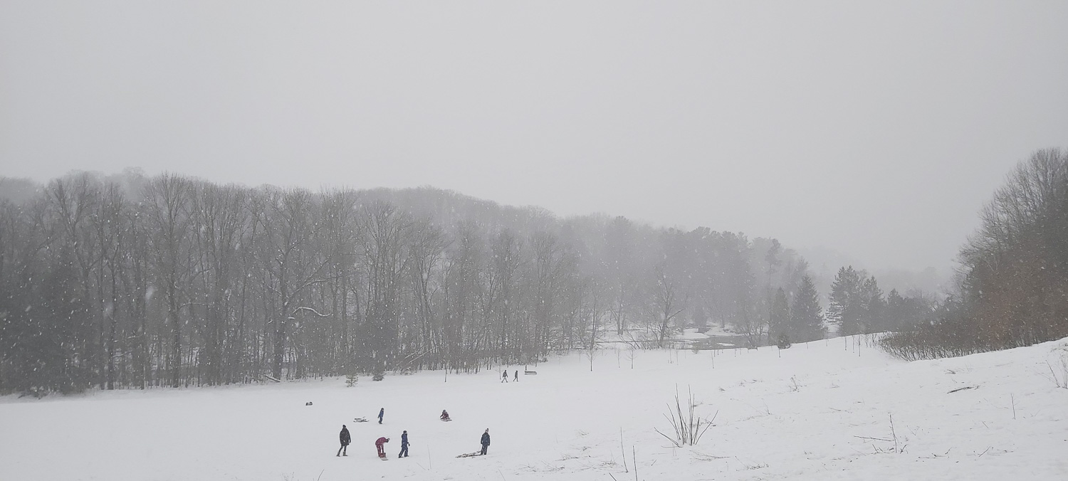 Harrison Park Tobogganing Hill (Winter) Owen Sound Real Estate- Brandon Downing