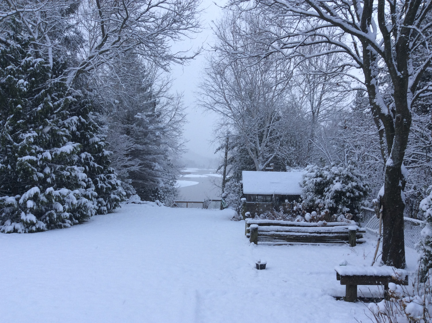 Harrison Park (Winter), Owen Sound Real Estate Bernadette Morgan