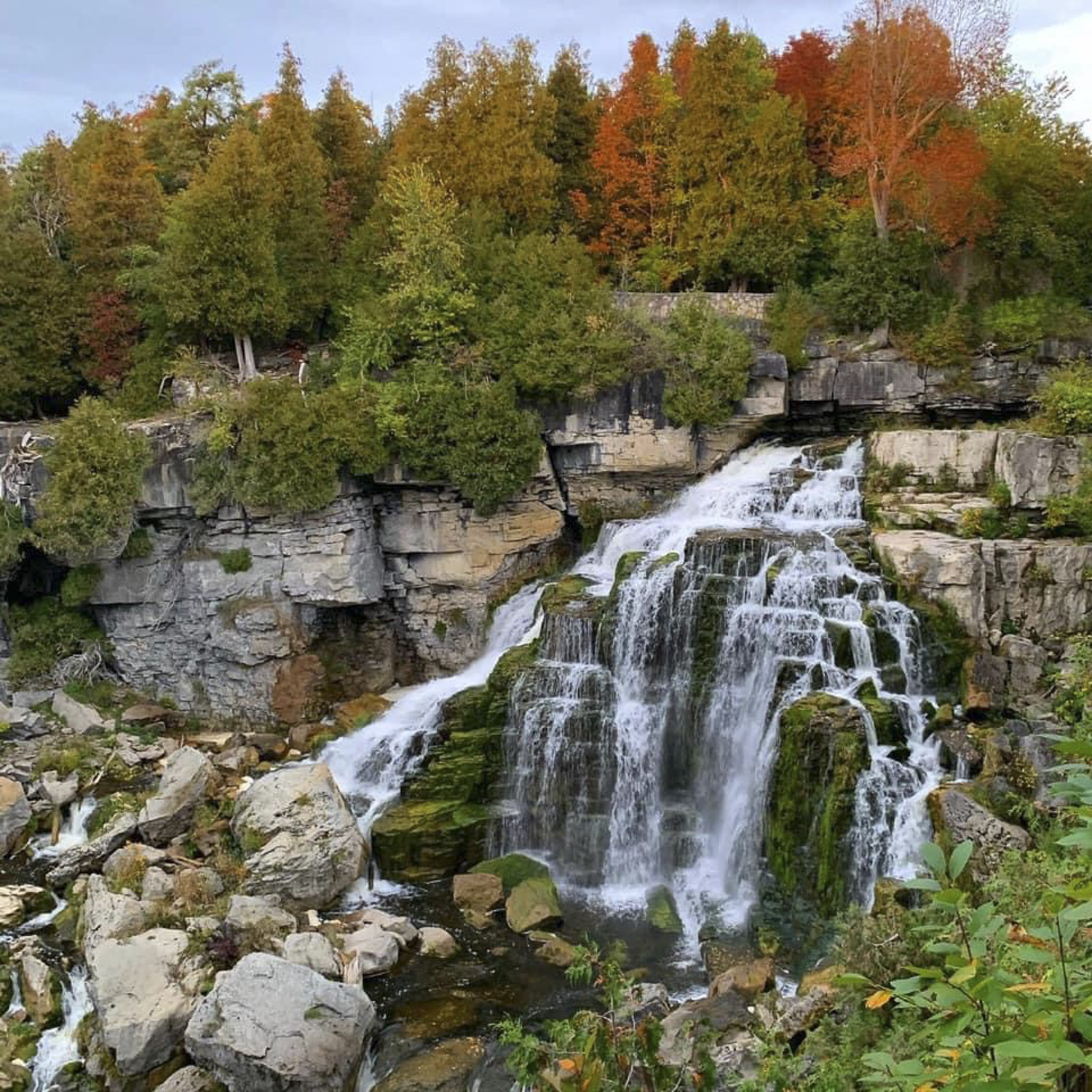 Inglis Falls (Fall), Owen Sound Real Estate - Tina B