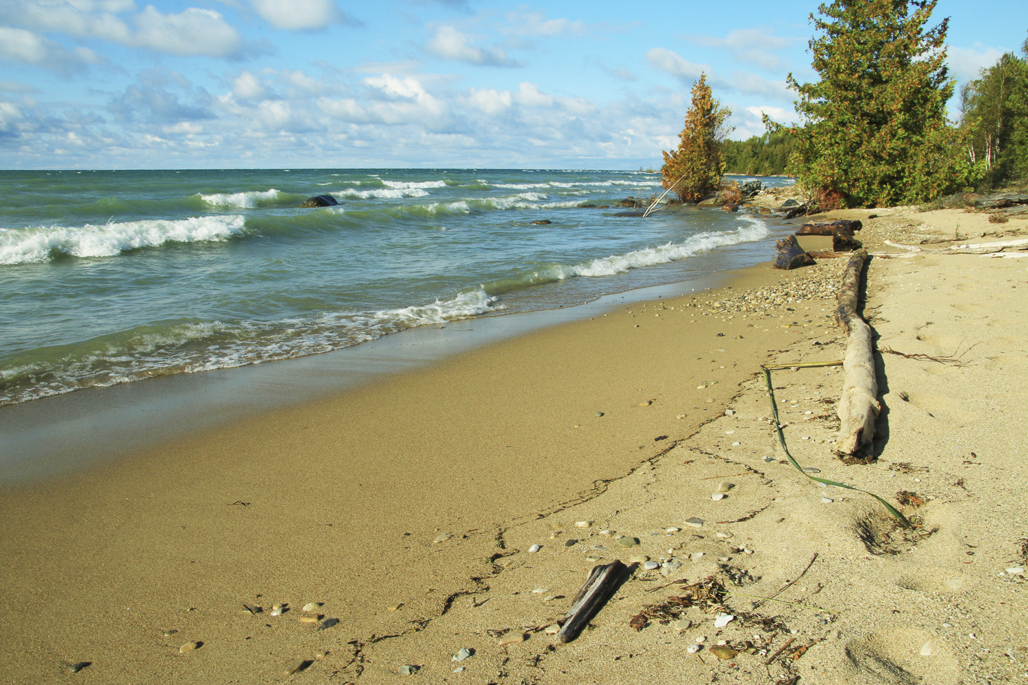 Saugeen Shores Real Estate, MacGregor Point Provincial Park Shore - Meagan Hayward