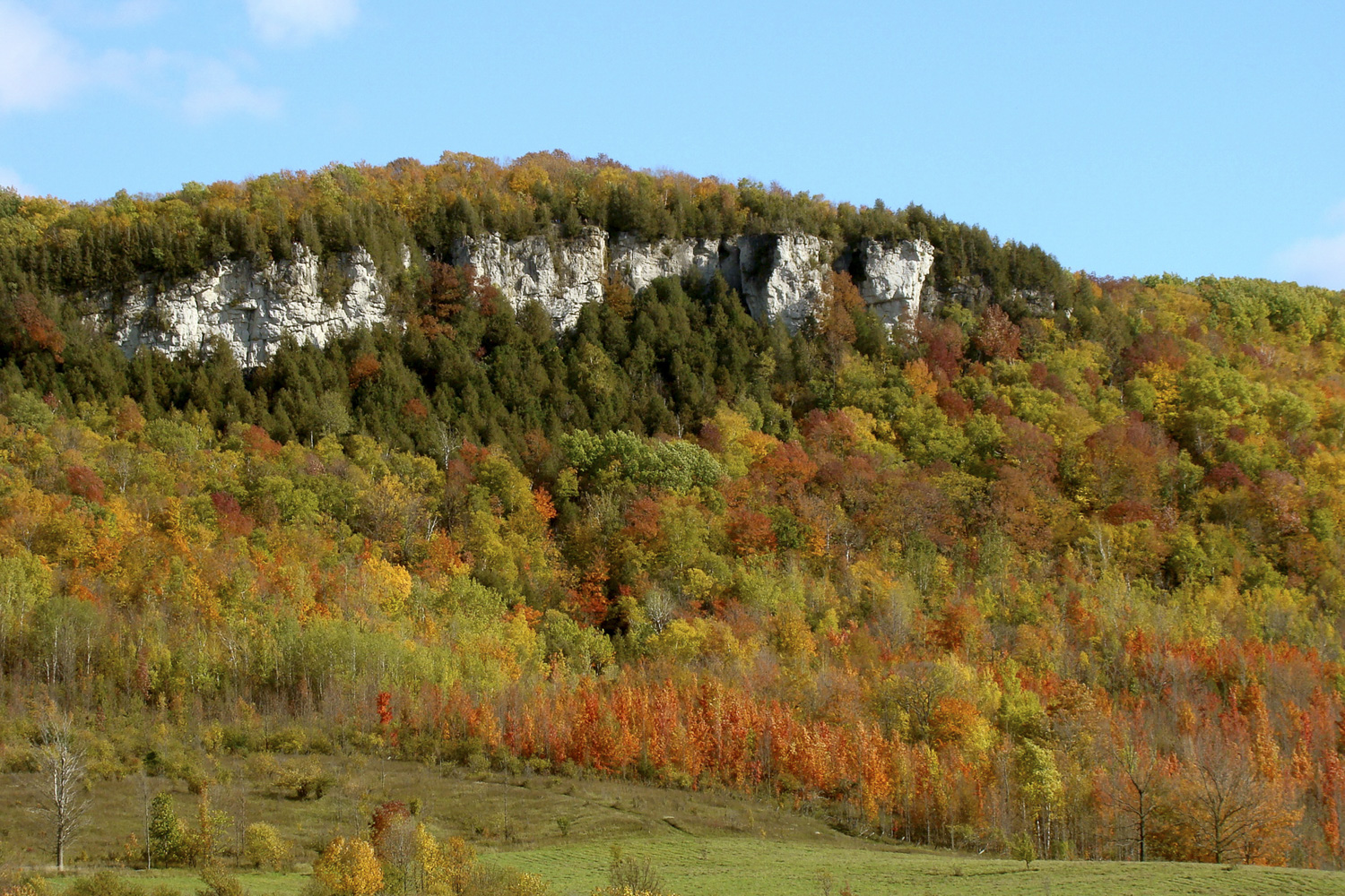 Old Baldy (Fall) Grey Highlands Real Estate - Mary Blair