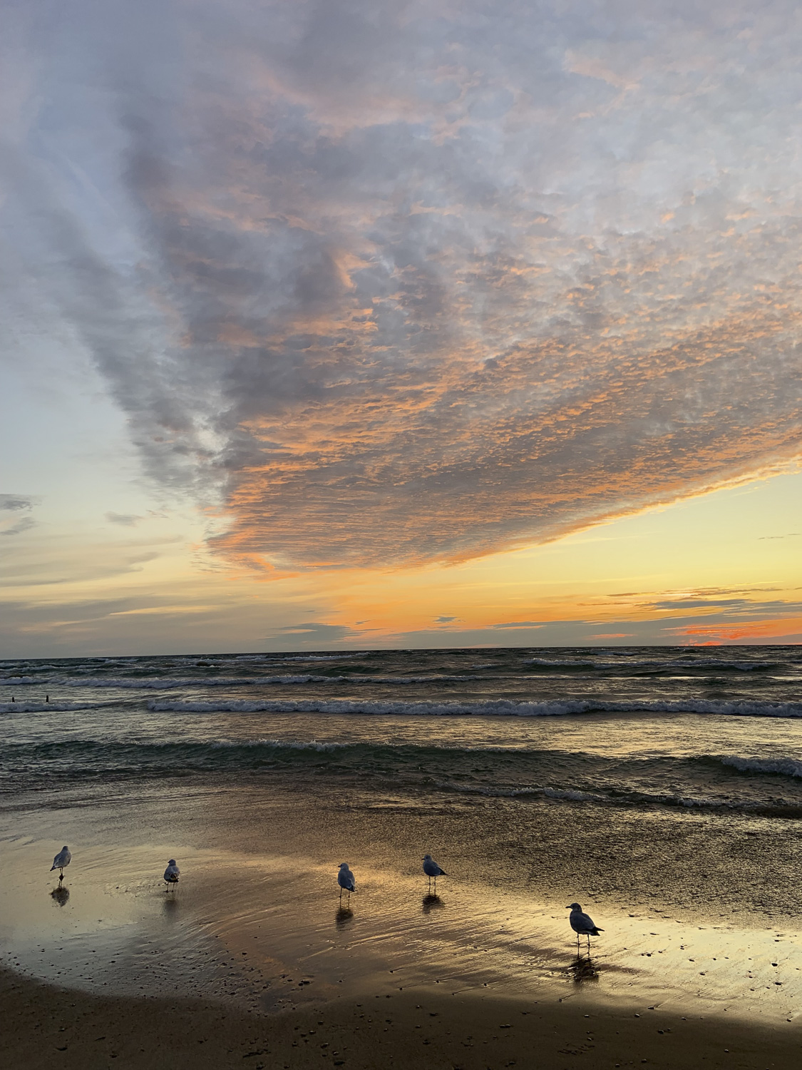 Sauble Beach Sunset with Seagulls, Sauble Beach Real Estate, South Bruce Peninsula Real Estate