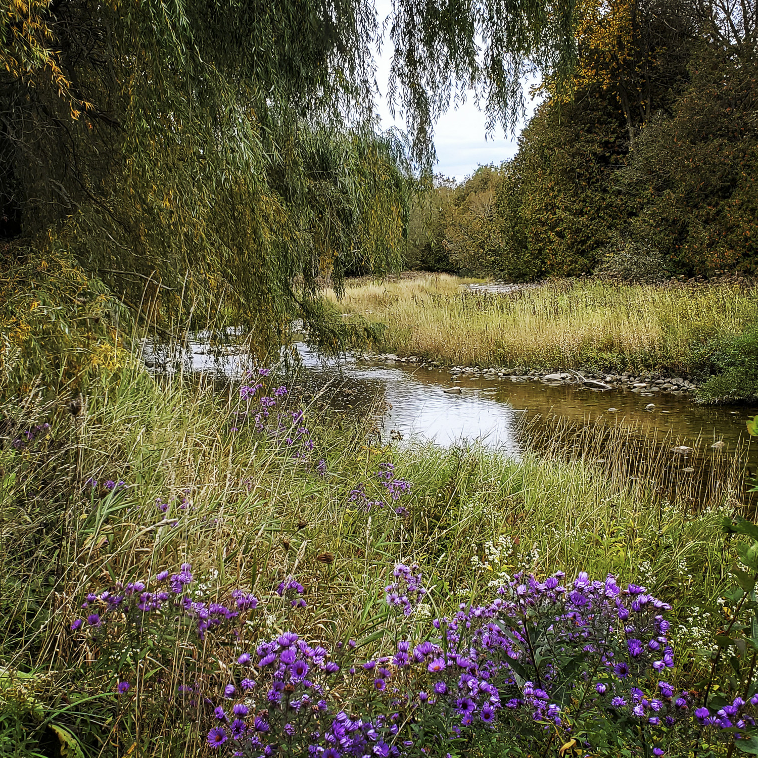 South Saugeen River Spring, Hanover Real Estate