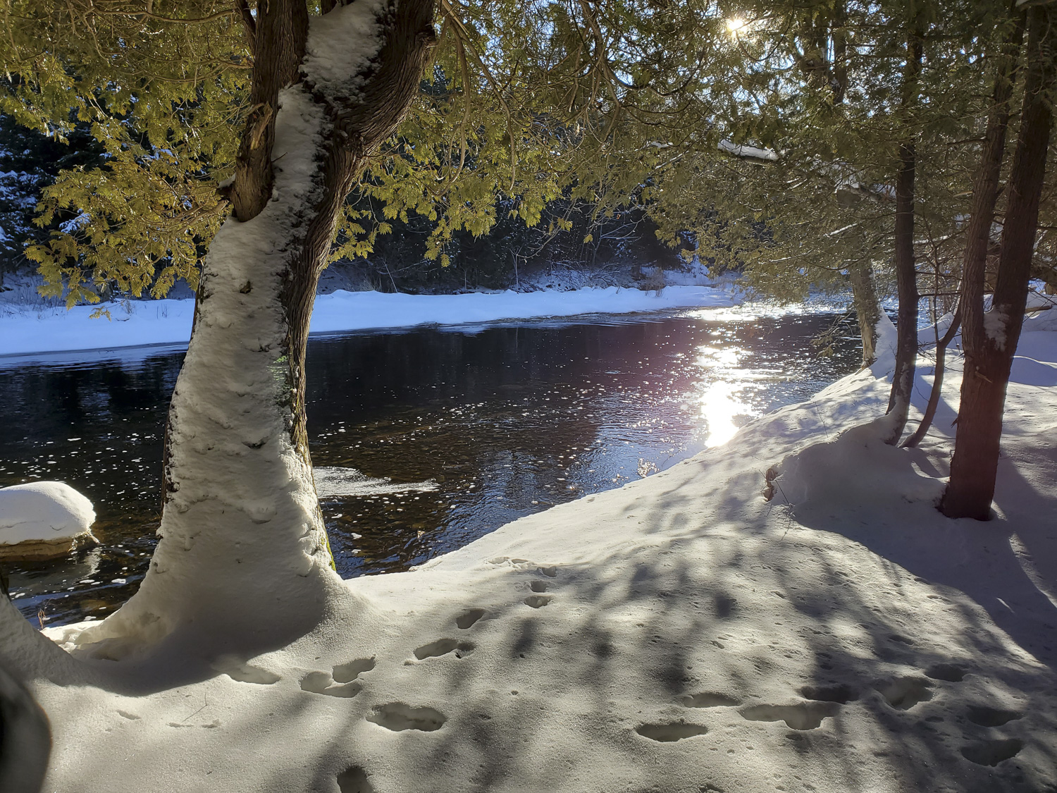 South Saugeen River Winter, Hanover Real Estate