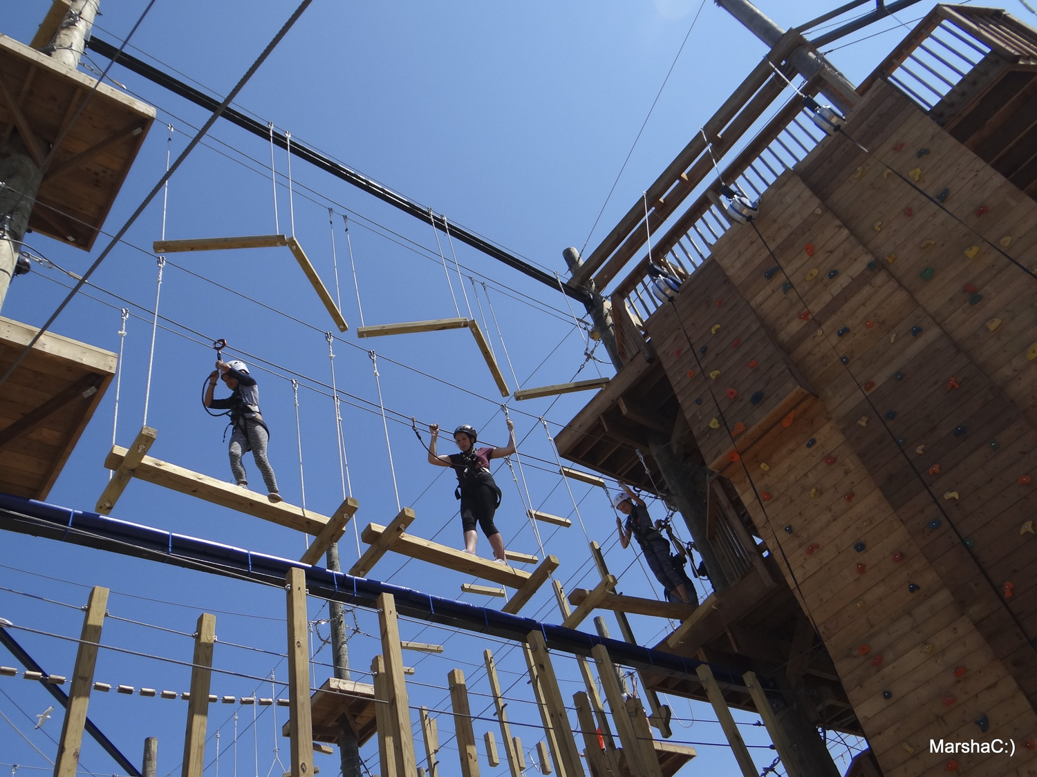 Ascent Aerial Park, Sauble Beach Real Estate, South Bruce Peninsula Real Estate