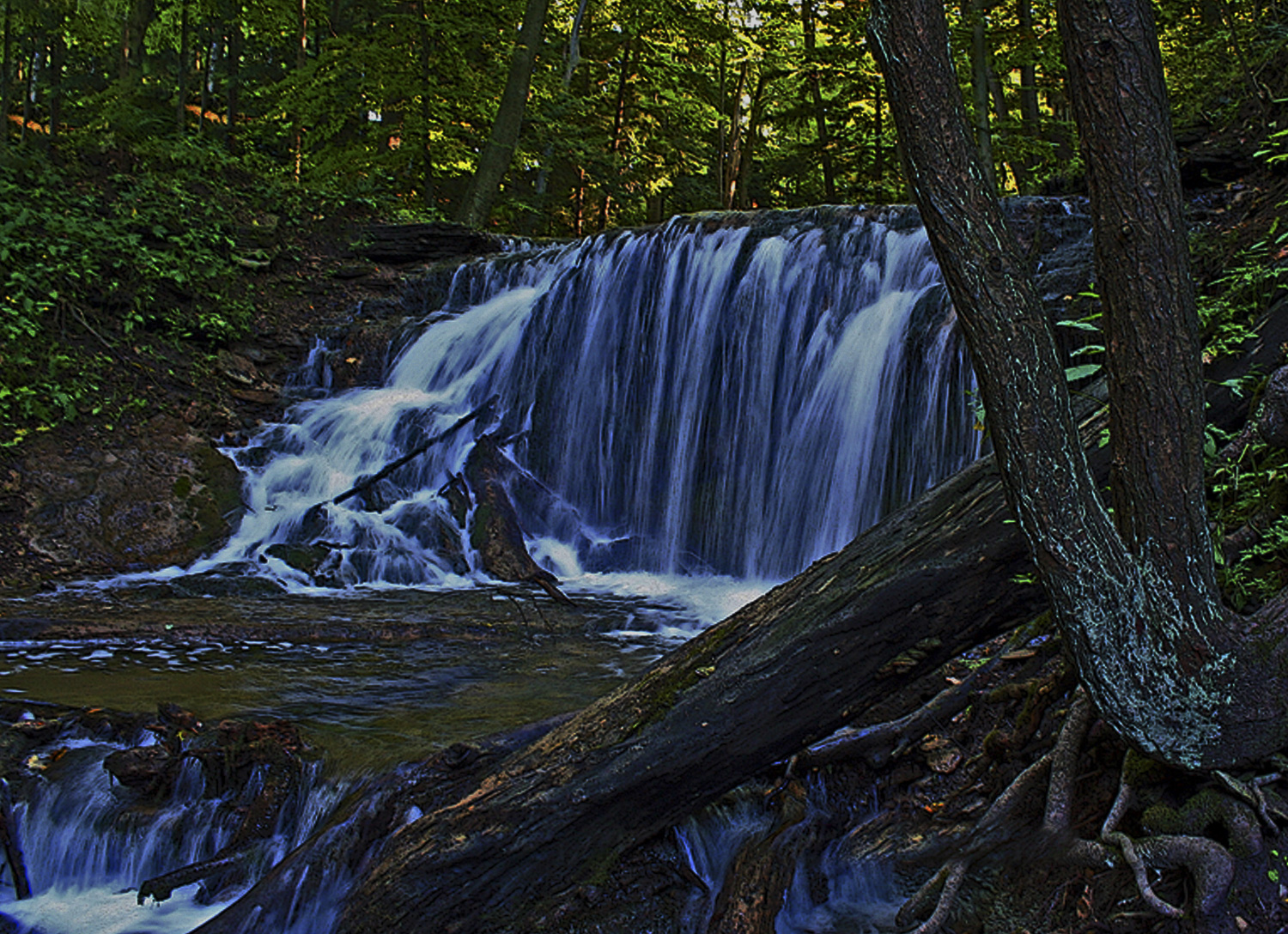 Weaver's Creek Falls (Harrison Park) Owen Sound Real Estate- Brenda Salomone