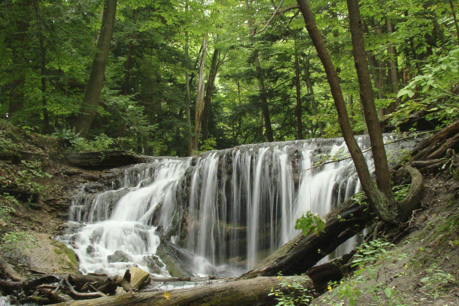 Weaver's Creek, Harrison Park, Owen Sound Real Estate - Mary Blair