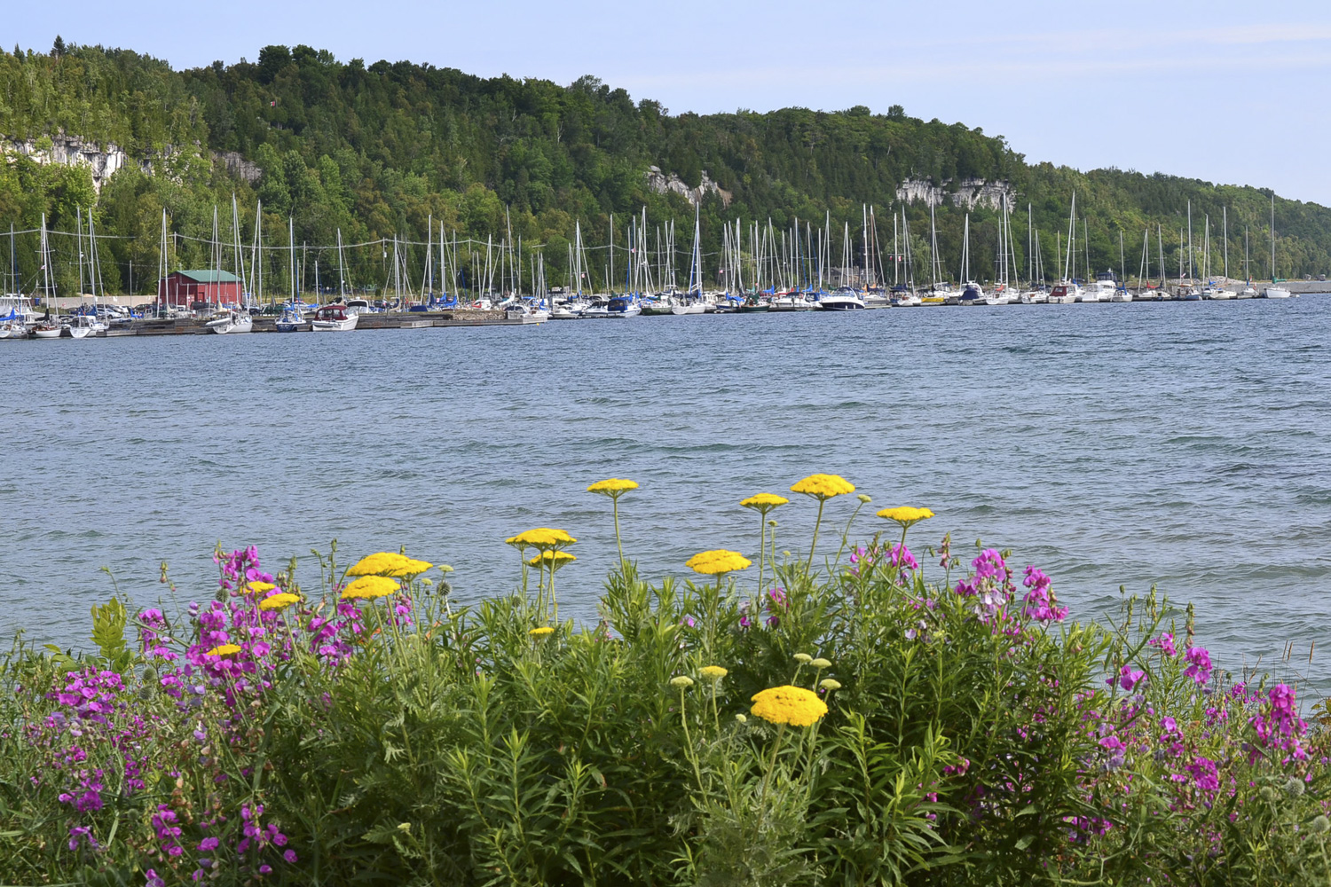 Wiarton Marina in Colpoy's Bay, Wiarton Real Estate, South Bruce Peninsula Real Estate