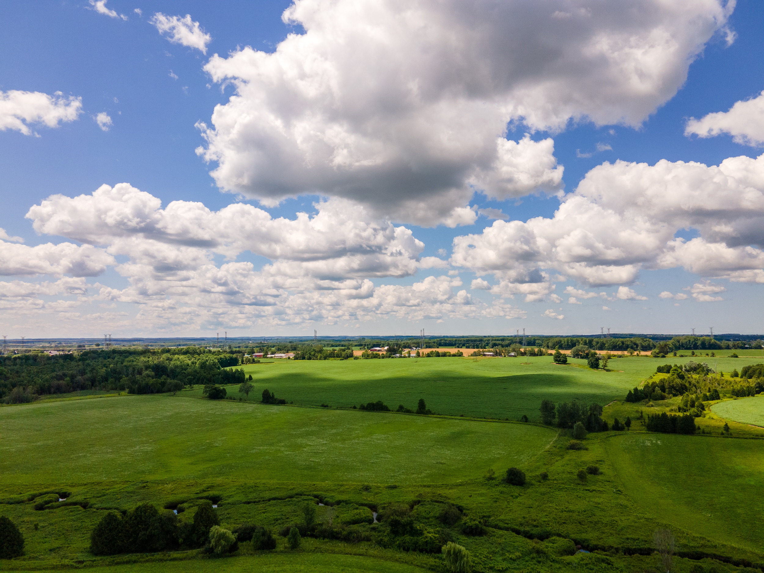 West Grey, Homes for Sale