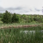 West Grey Homes for Sale