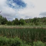 West Grey Homes for Sale