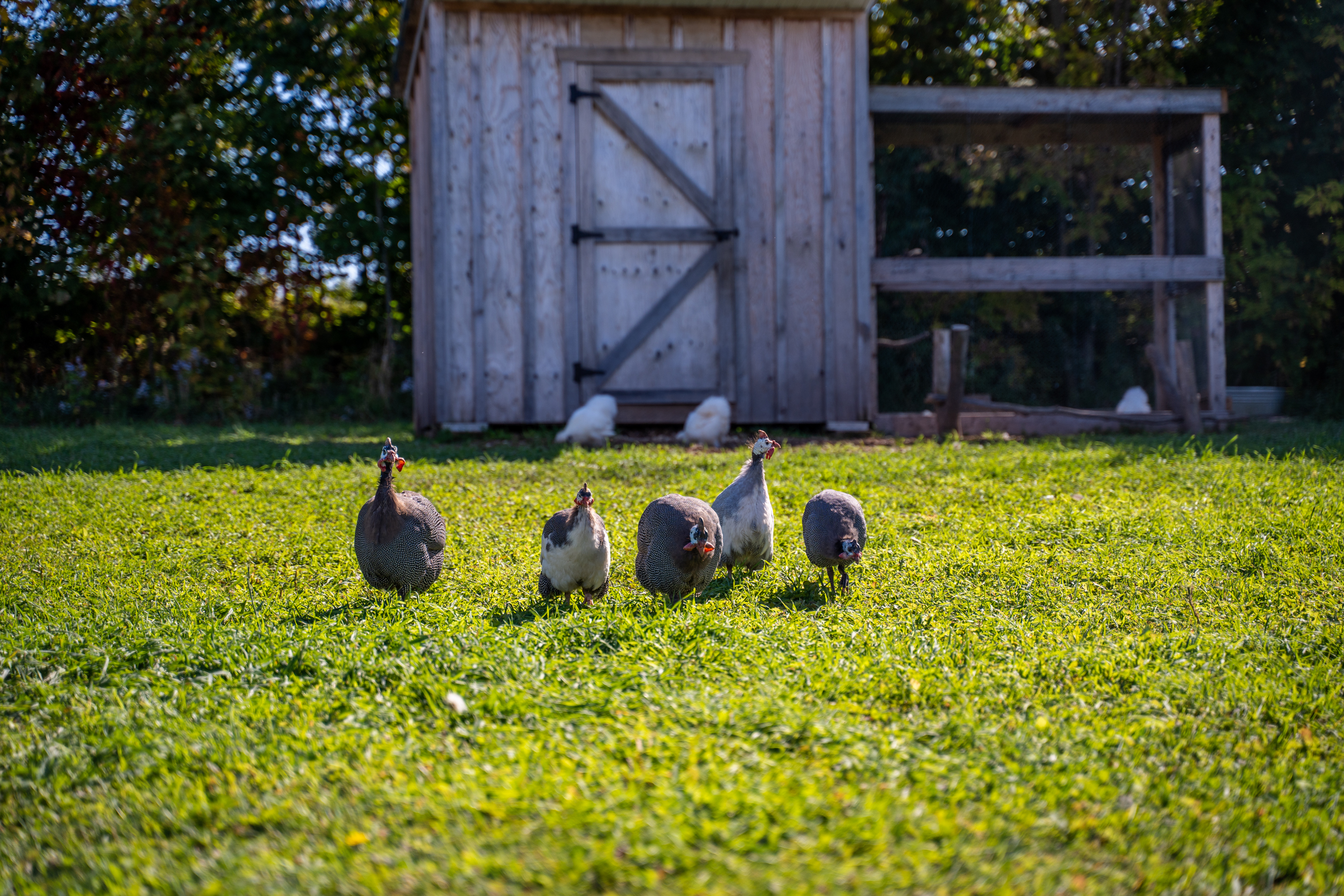 Meafod, Ontario land for sale