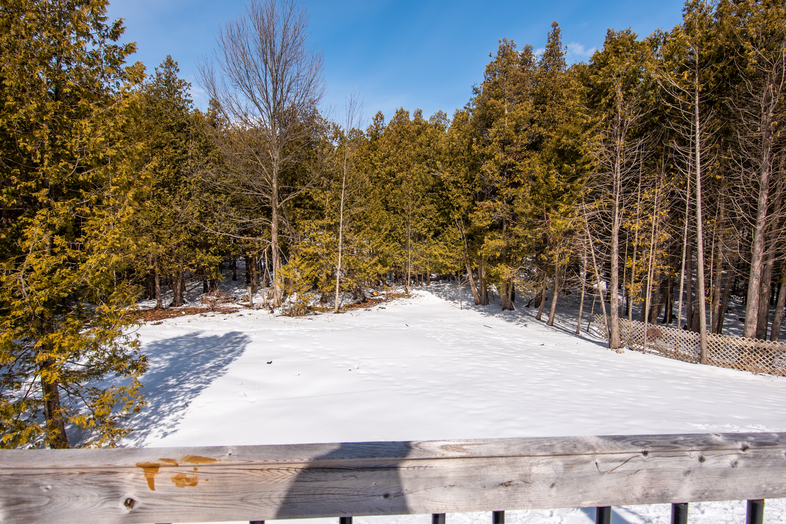 Priceville Homes For Sale 69