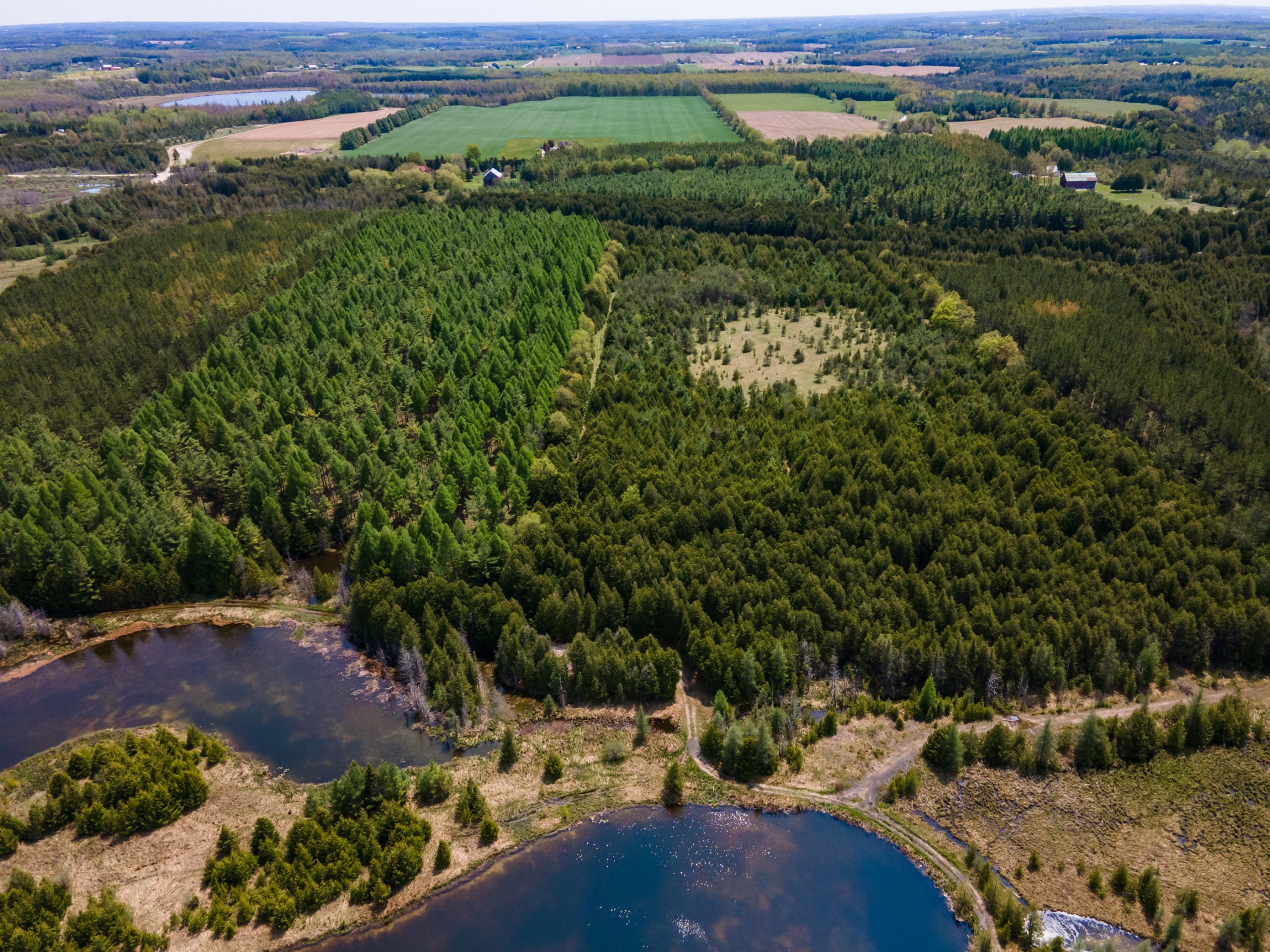 Elmwood Farms For Sale 10