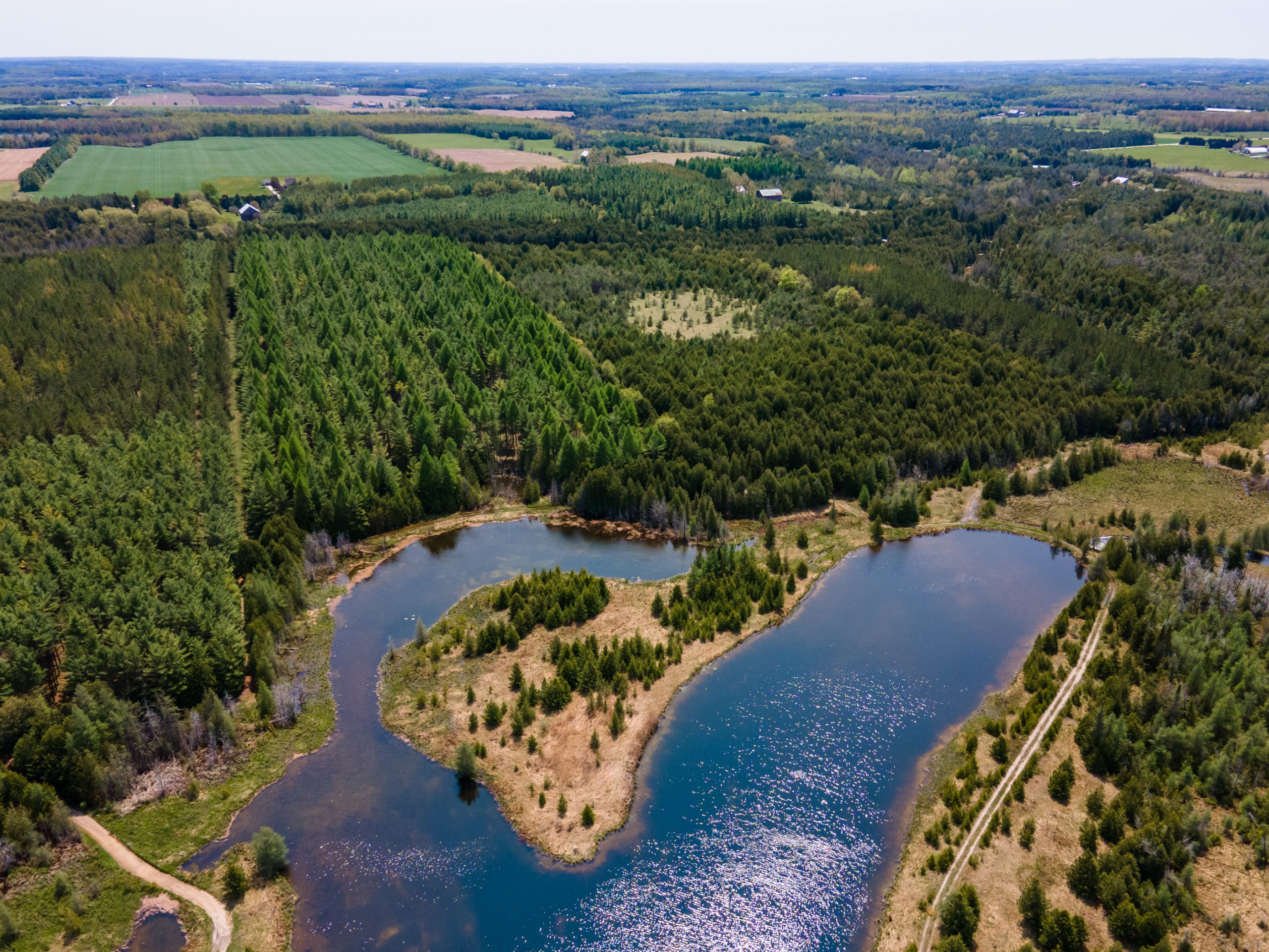 Elmwood Farms For Sale 11