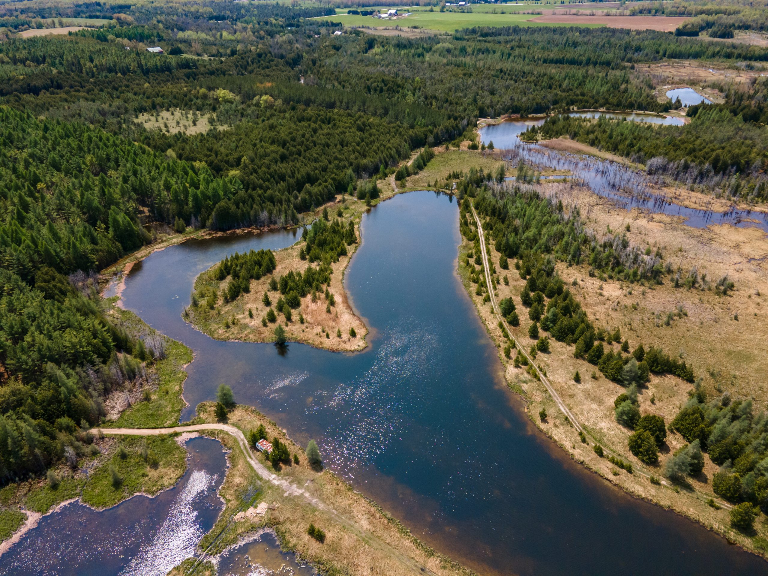Elmwood Farms For Sale 12