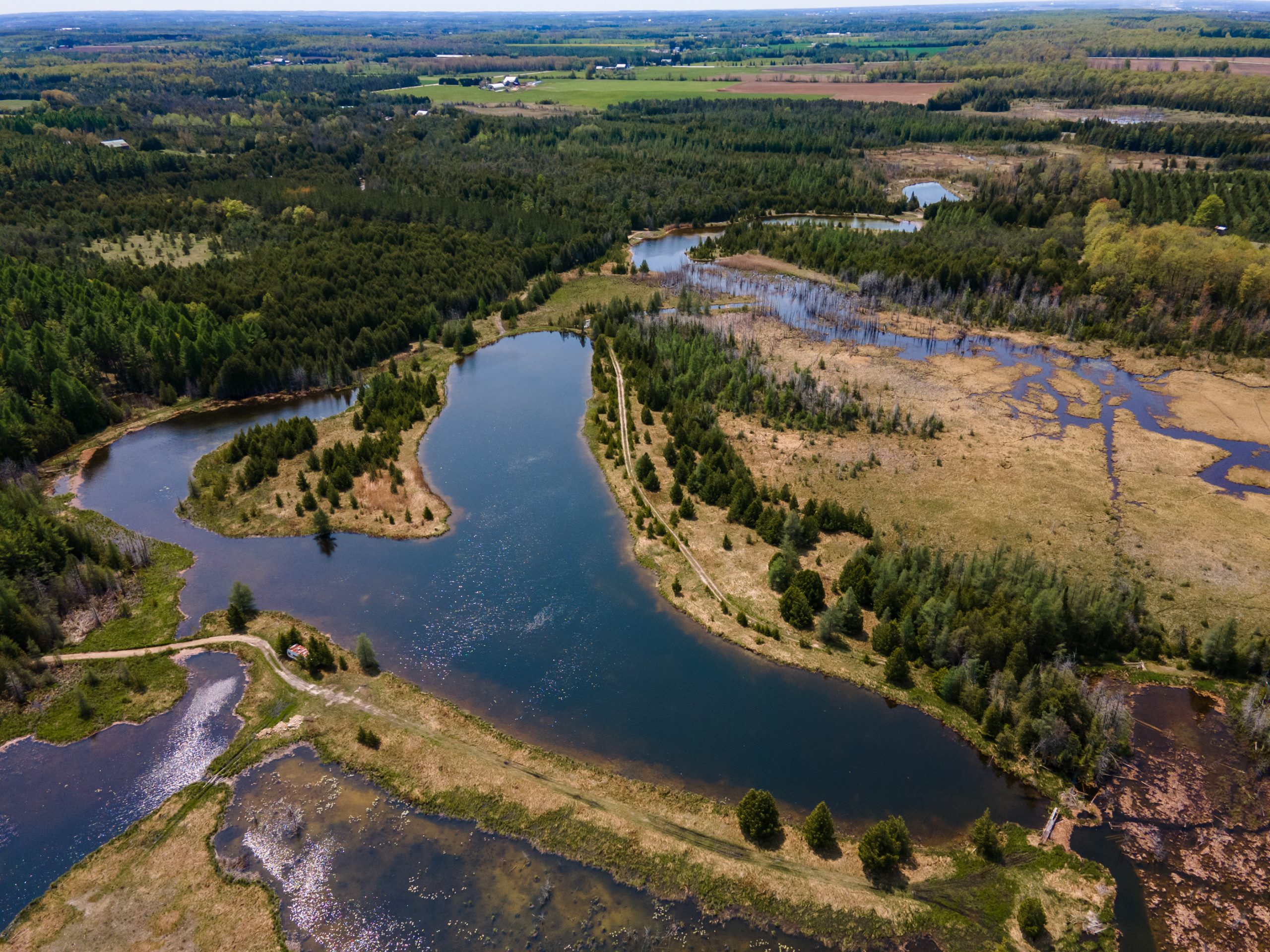 Elmwood Farms For Sale 13