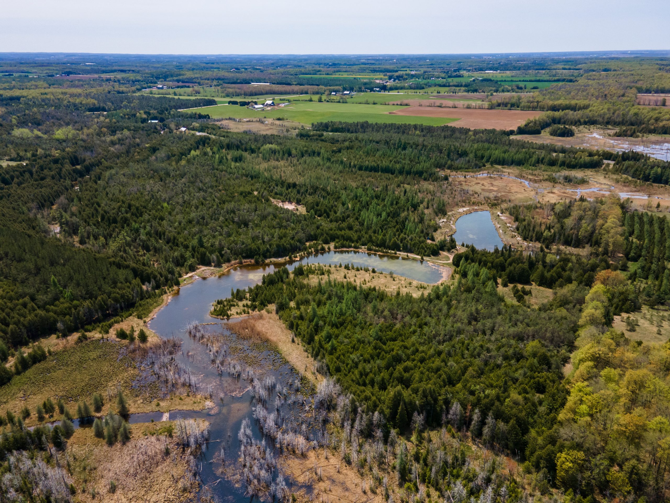 Elmwood Farms For Sale 14