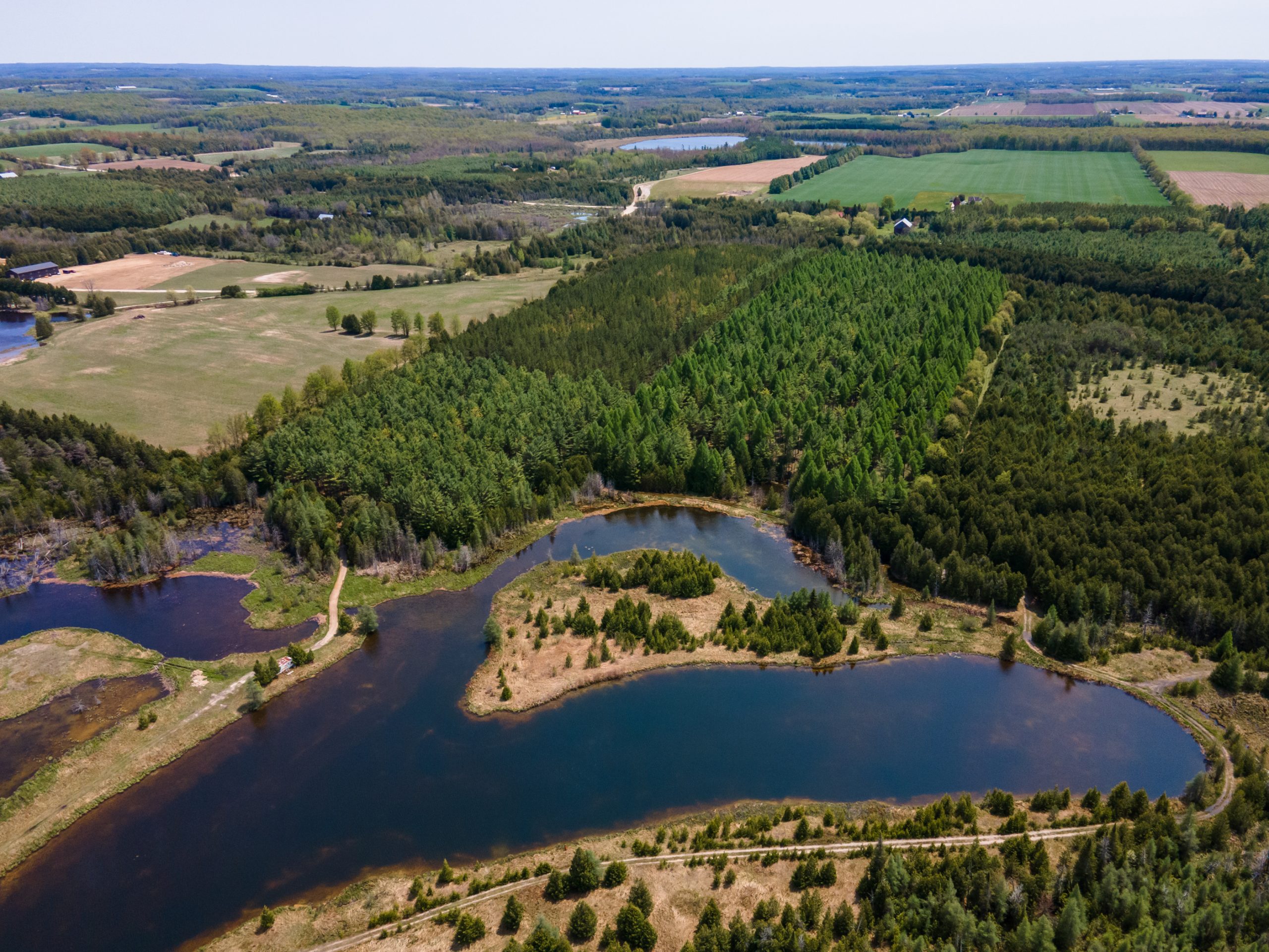Elmwood Farms For Sale 15