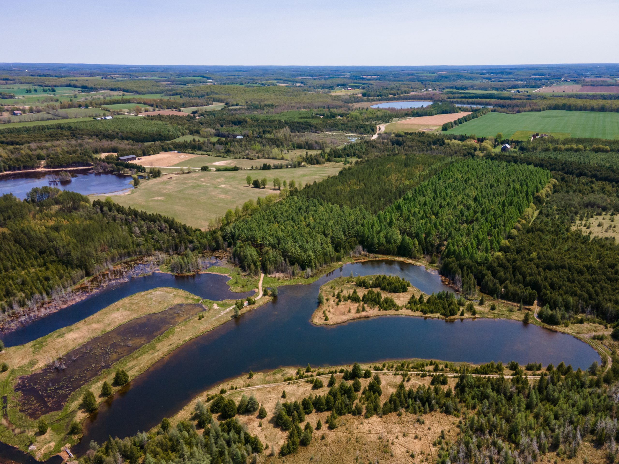 Elmwood Farms For Sale 16