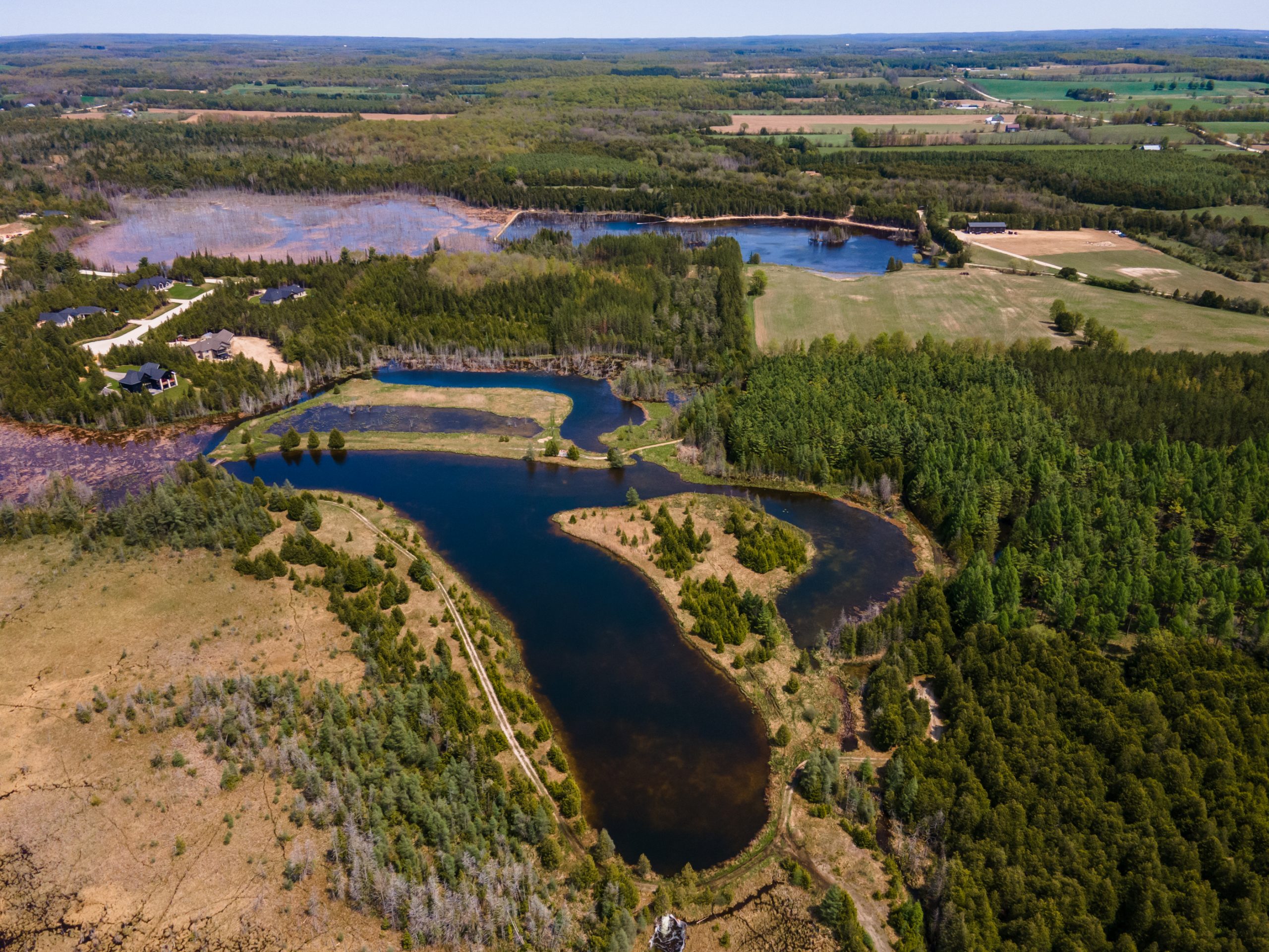 Elmwood Farms For Sale 17