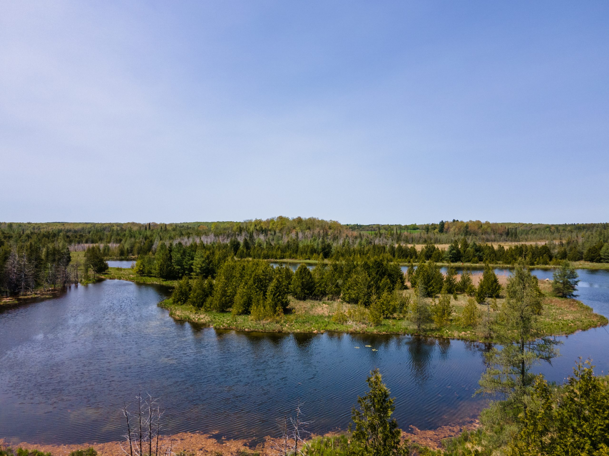 Elmwood Farms For Sale 18