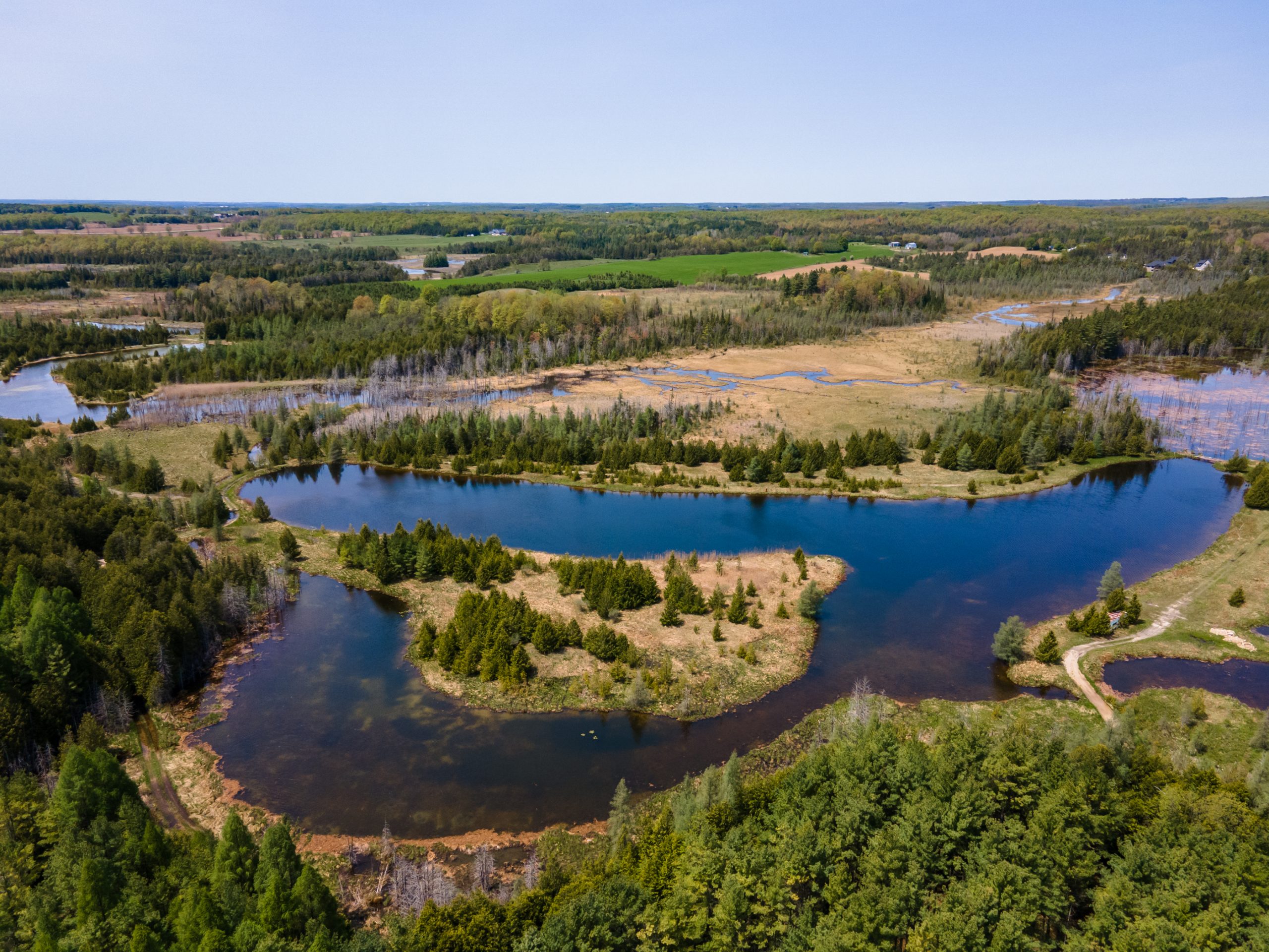 Elmwood Farms For Sale 19