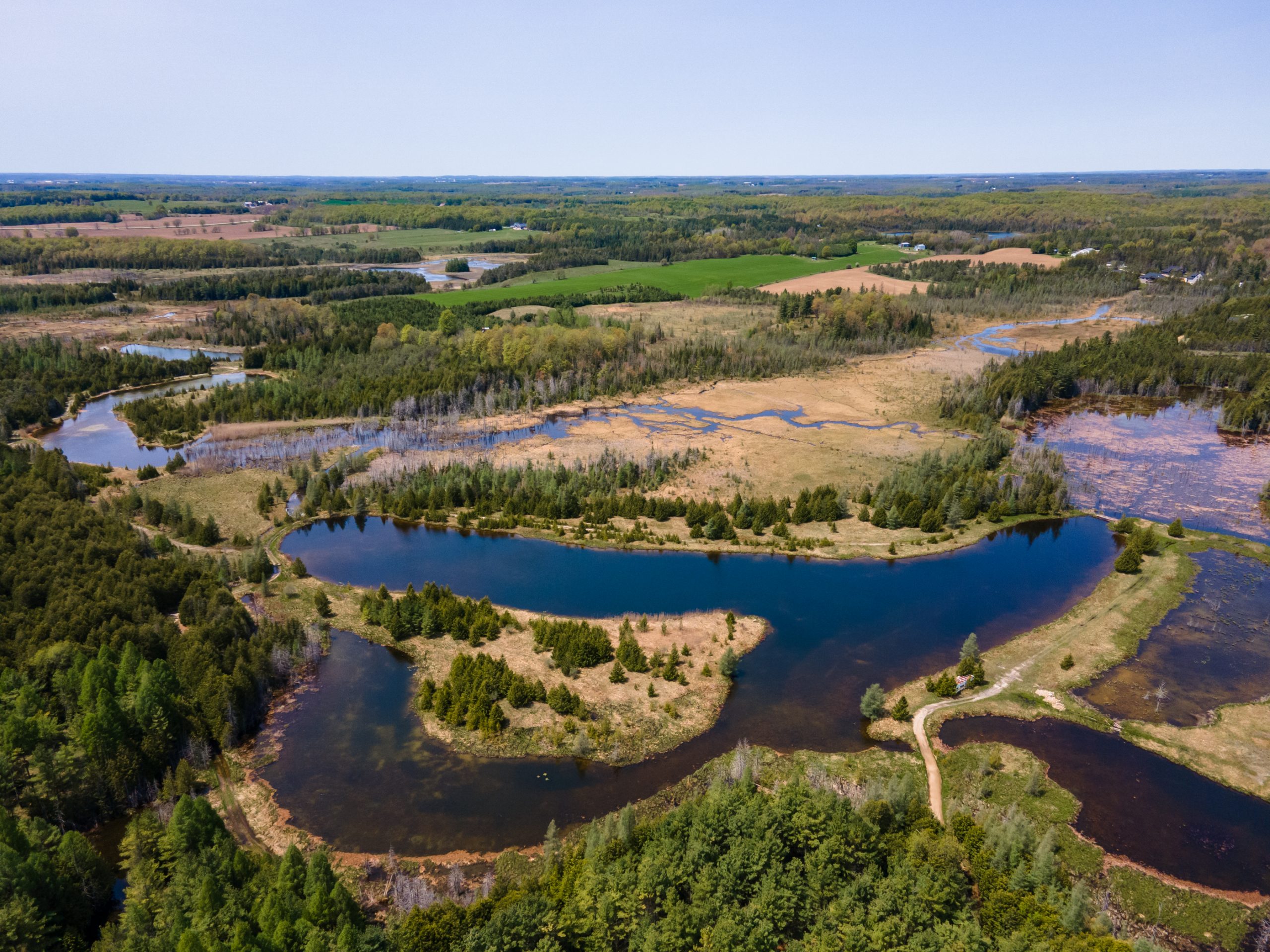 Elmwood Farms For Sale 20