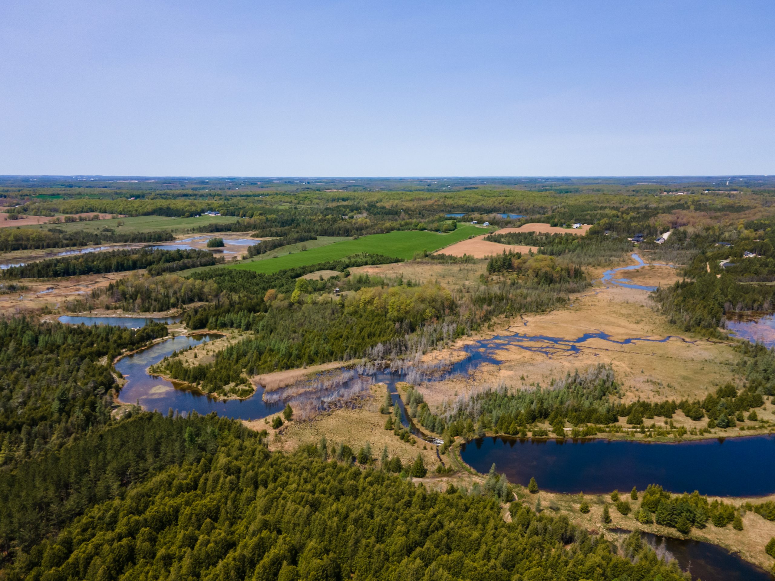 Elmwood Farms For Sale 22