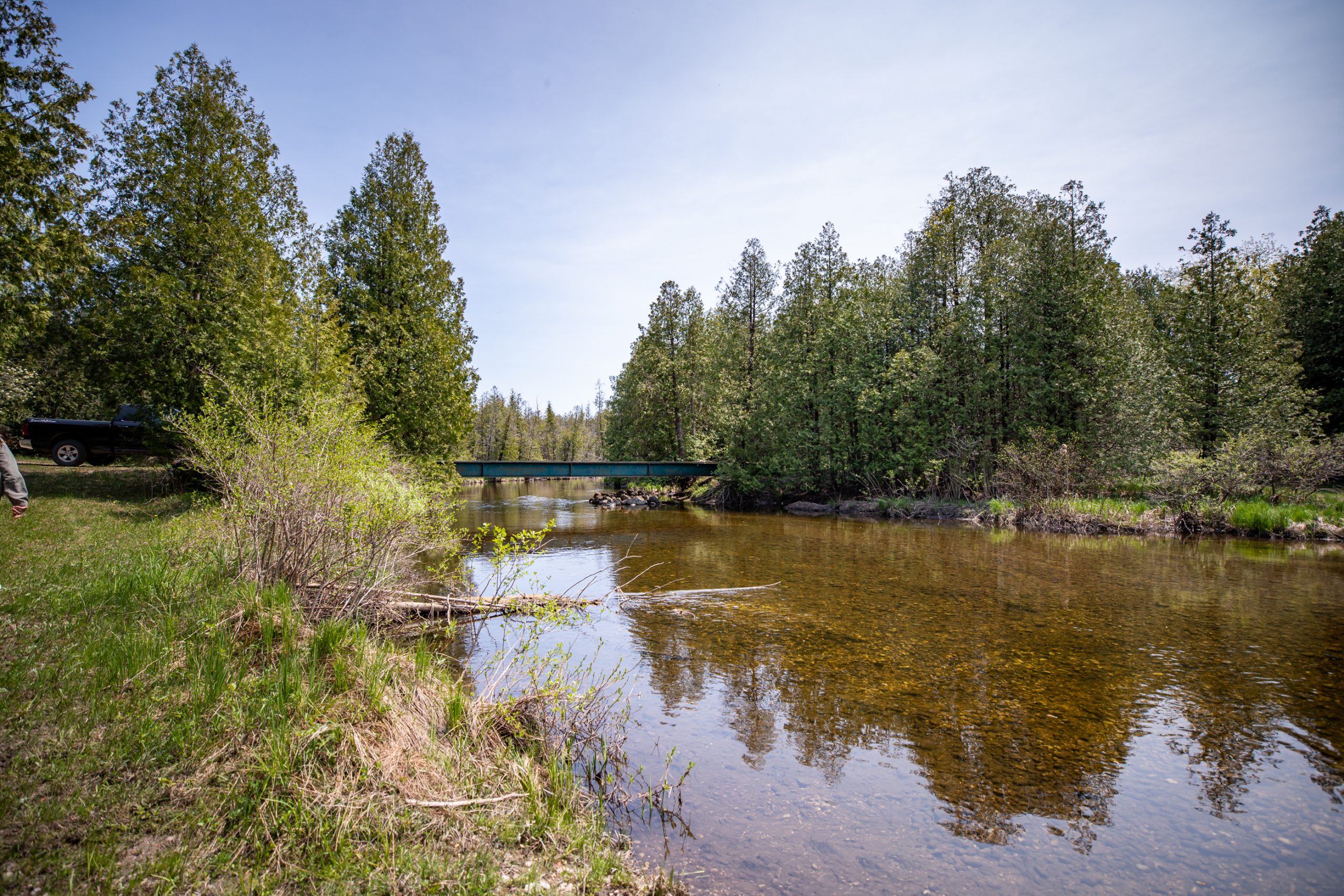 Elmwood Farms For Sale 32
