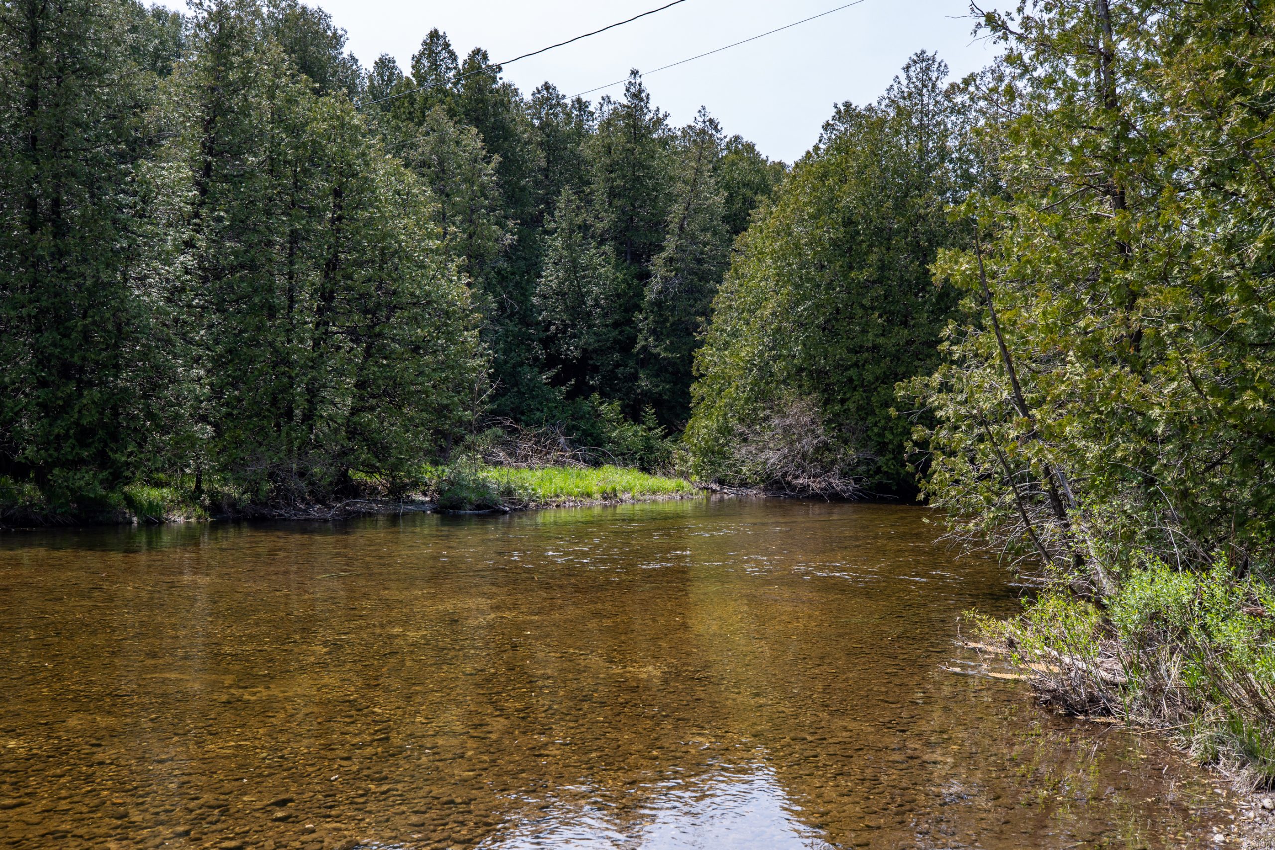 Elmwood Farms For Sale 34