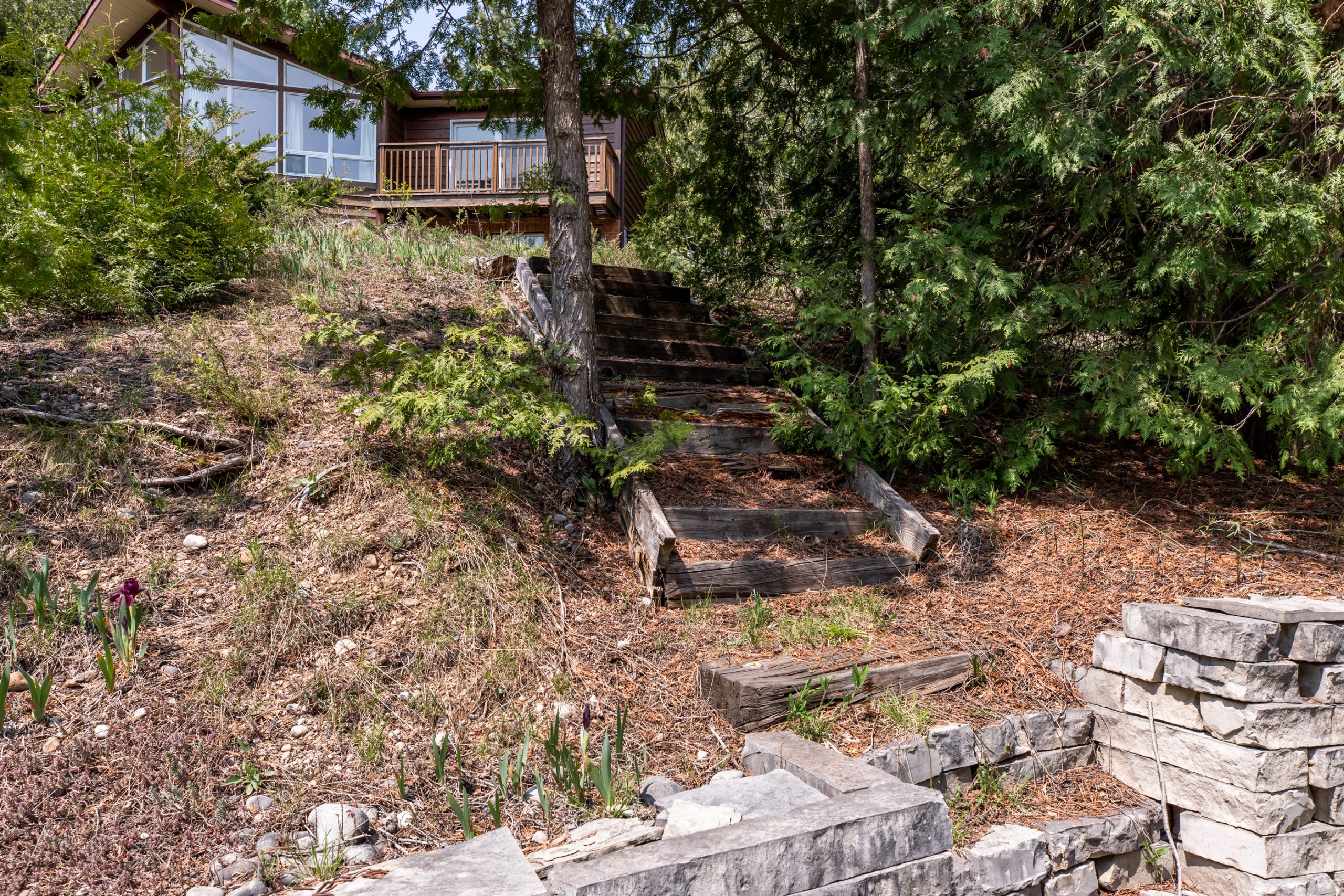 Elmwood Farms For Sale 35