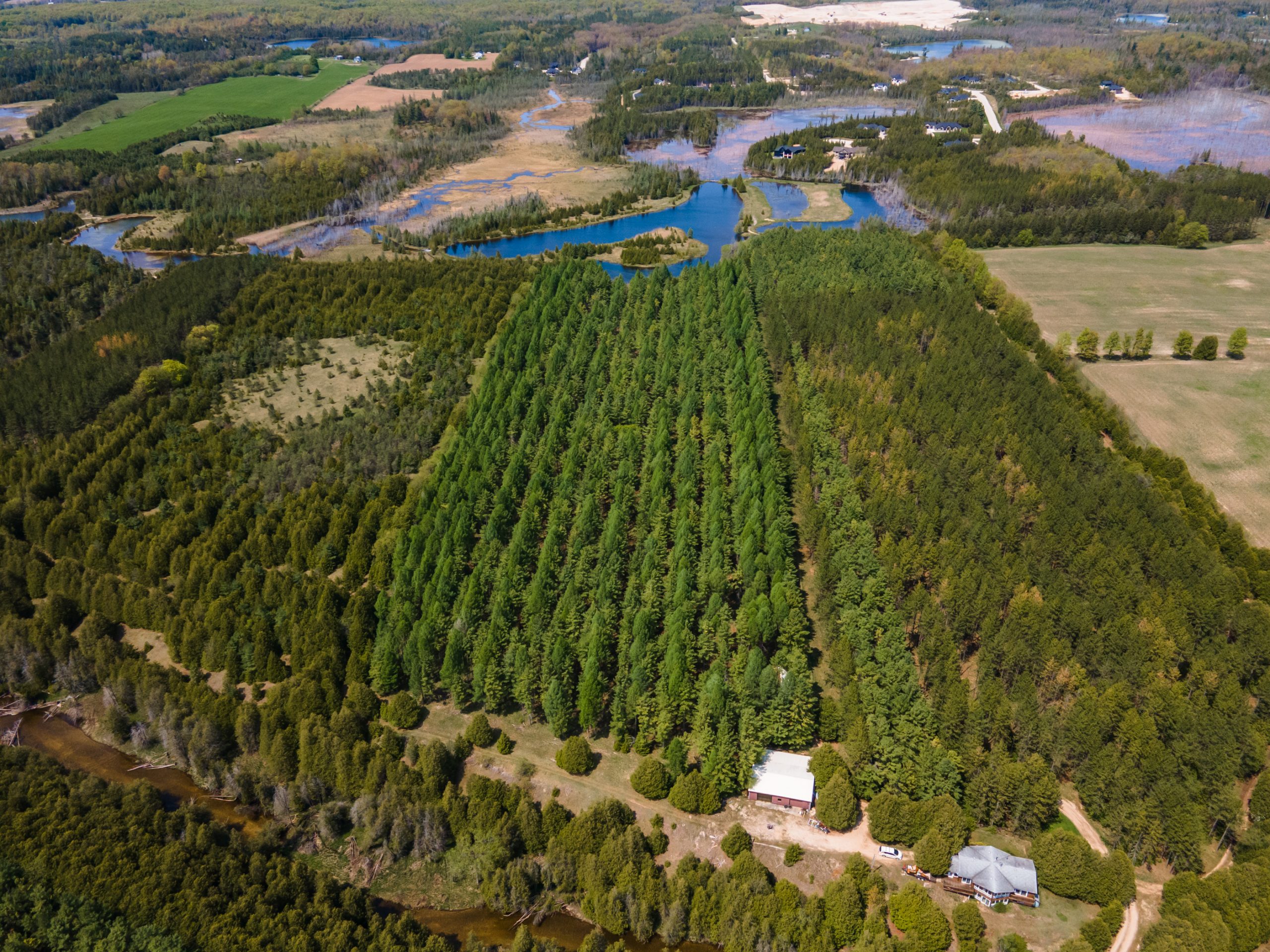 Elmwood Farms For Sale 4