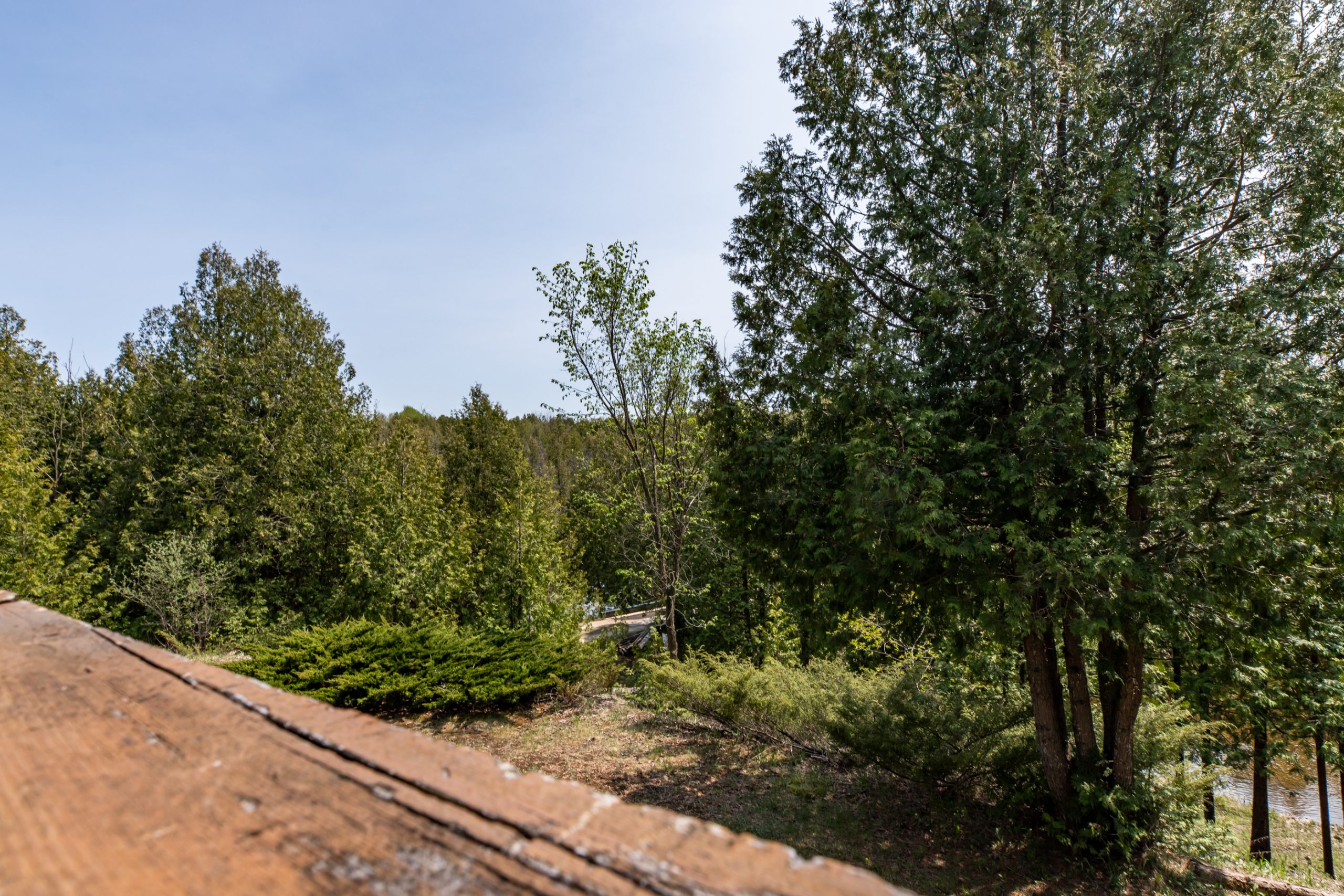 Elmwood Farms For Sale 42