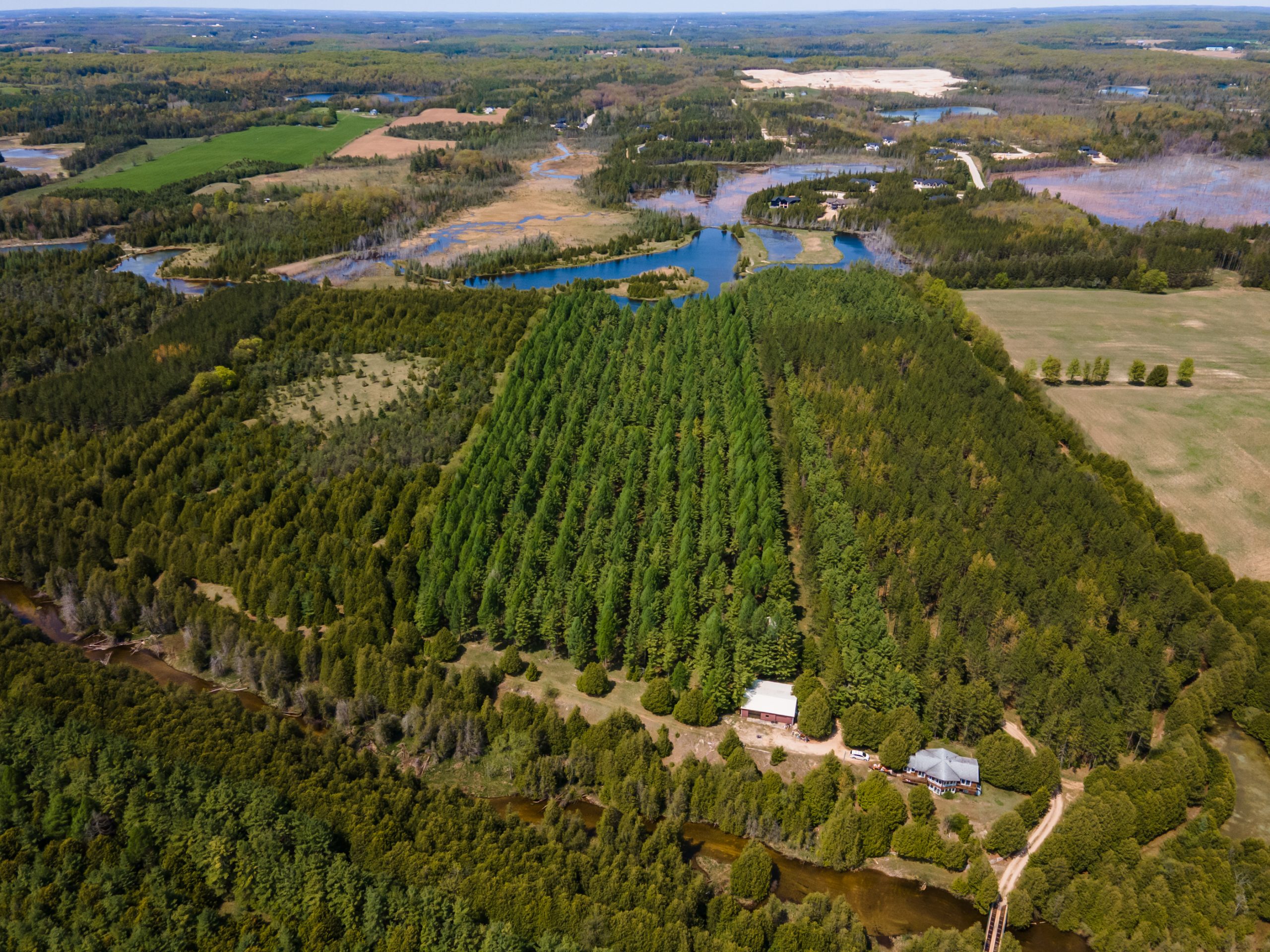 Elmwood Farms For Sale 5