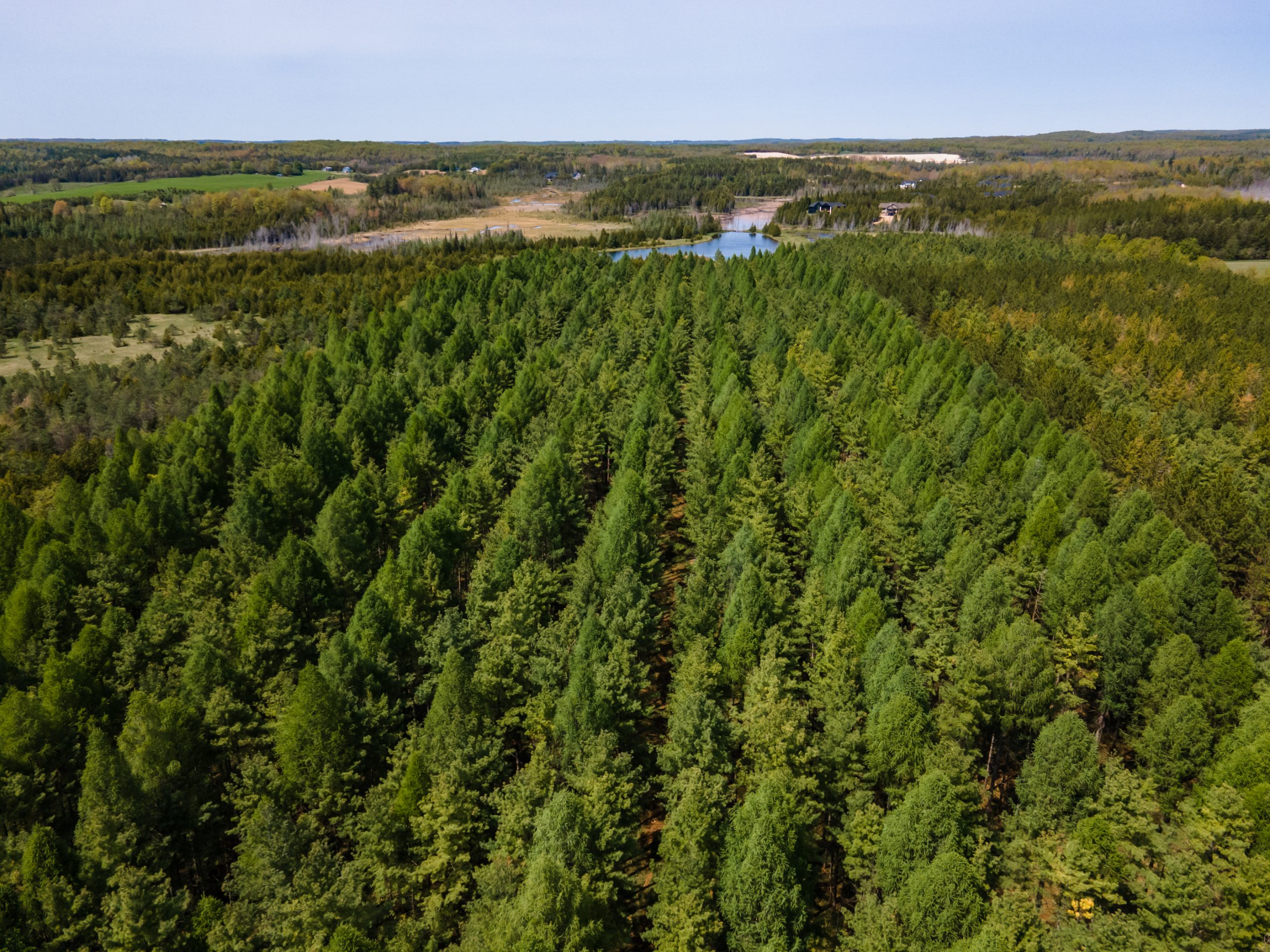 Elmwood Farms For Sale 6