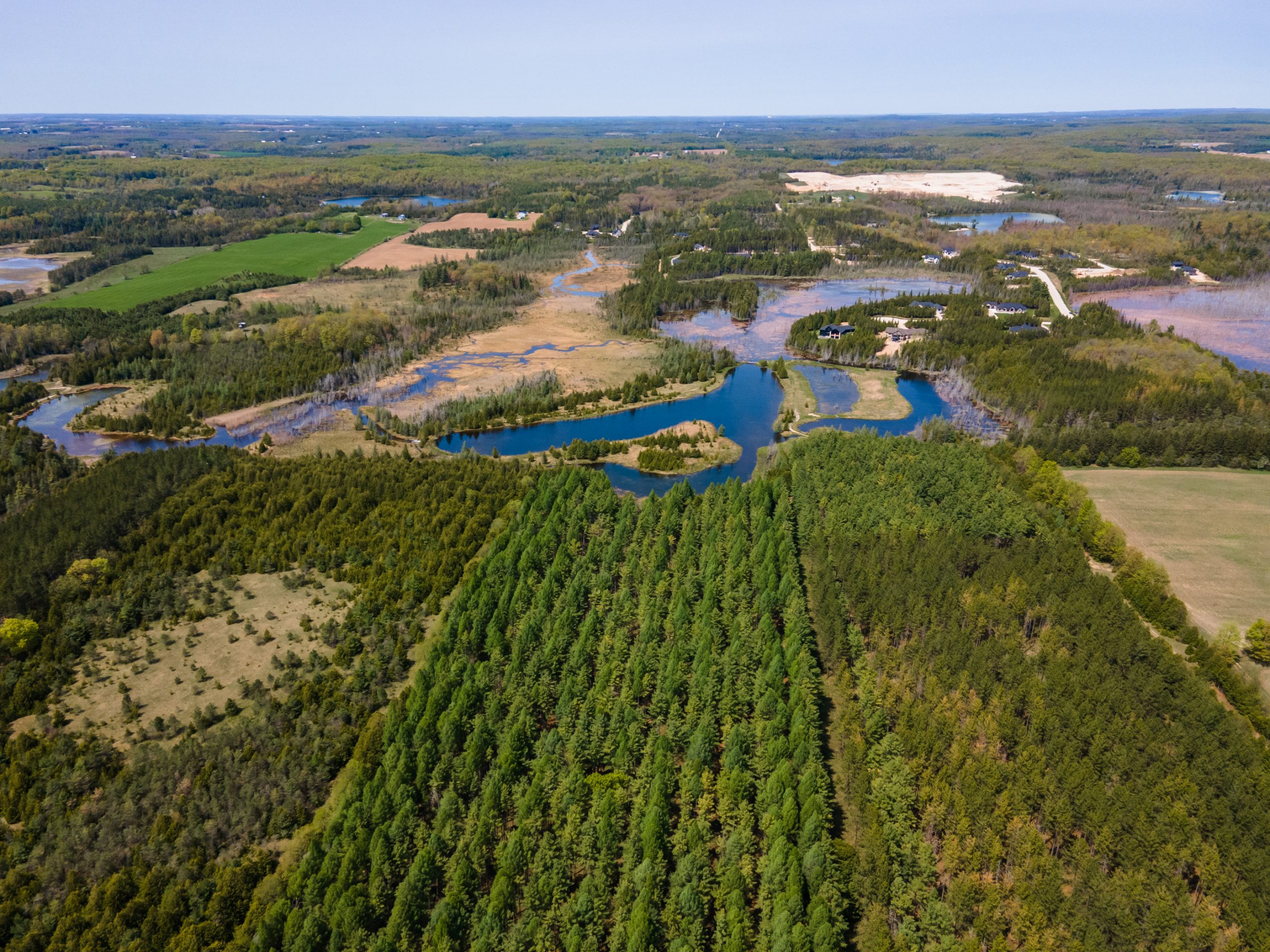 Elmwood Farms For Sale 7