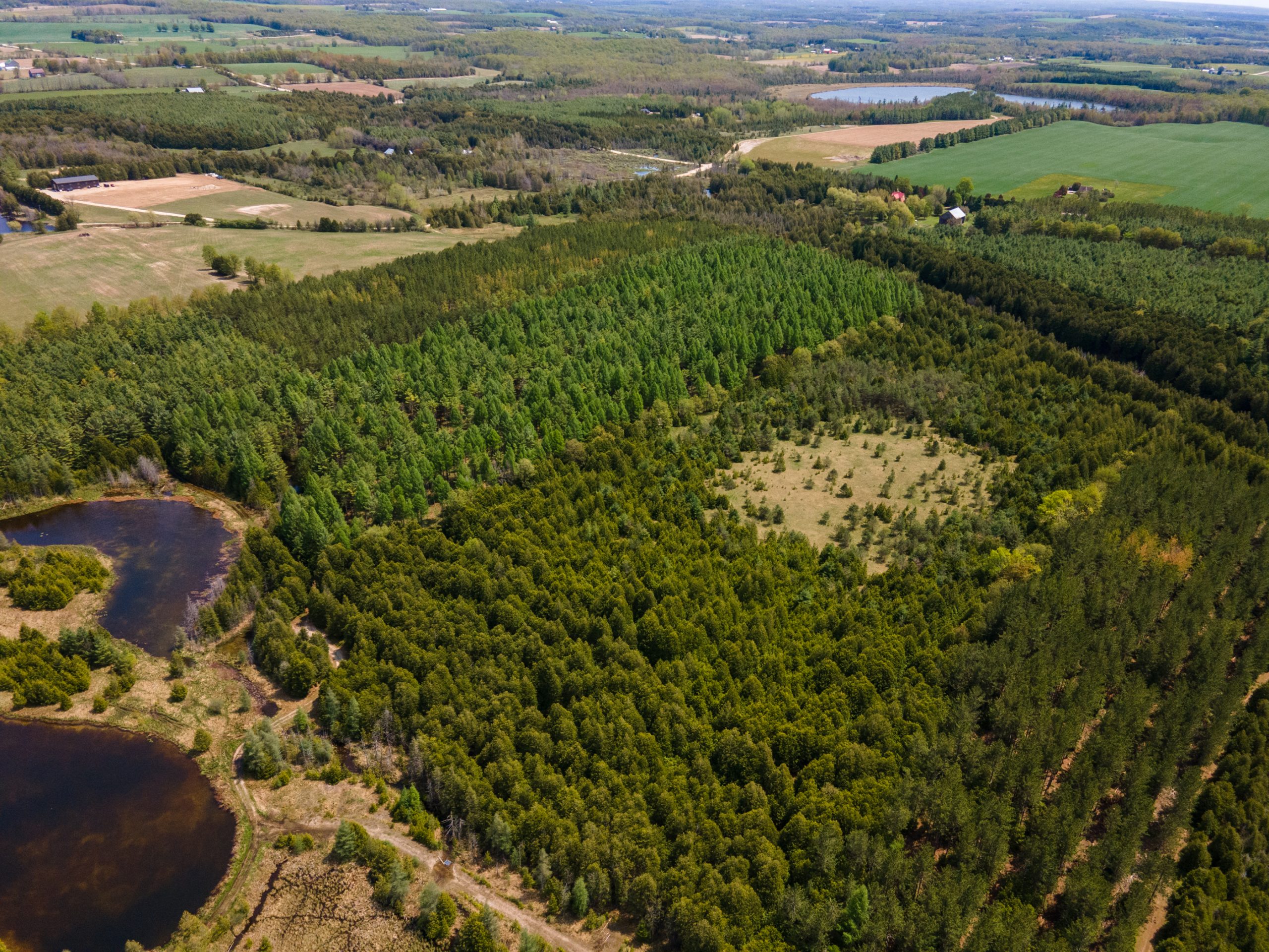 Elmwood Farms For Sale 8