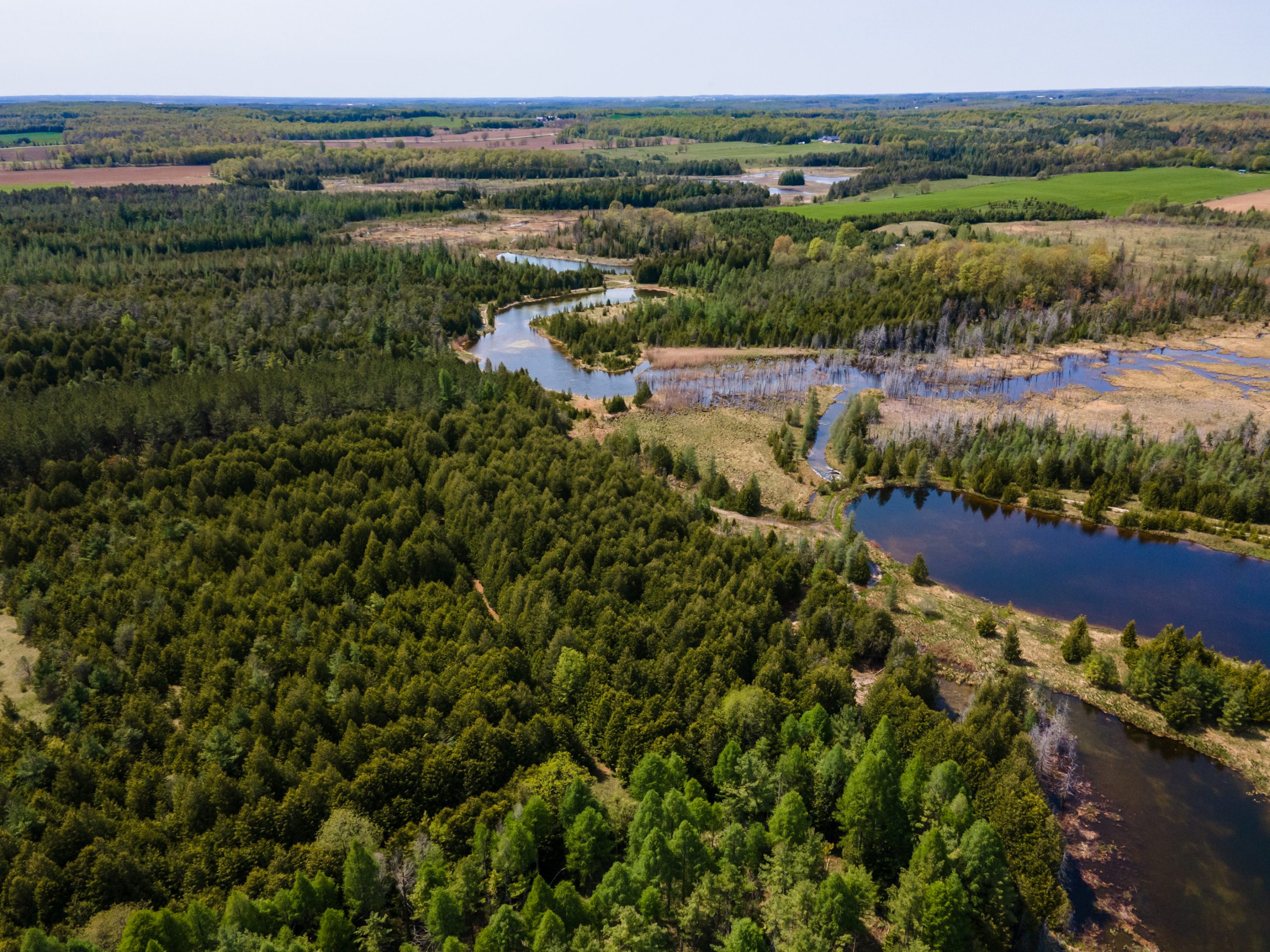 Elmwood Farms For Sale 9