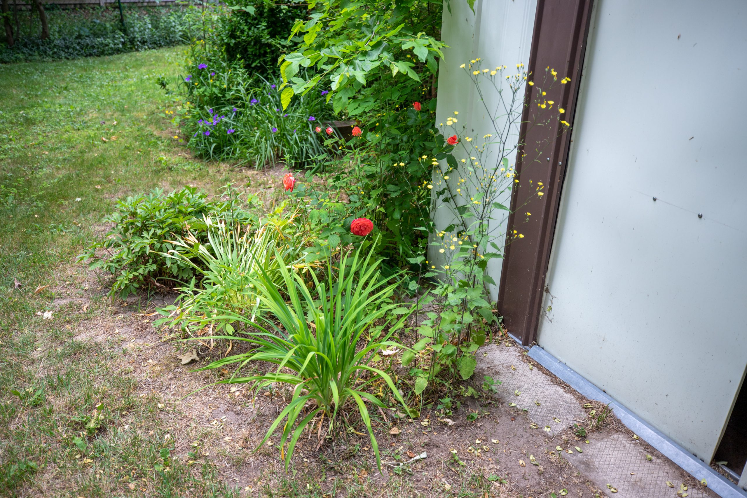 Port Elgin Homes For Sale