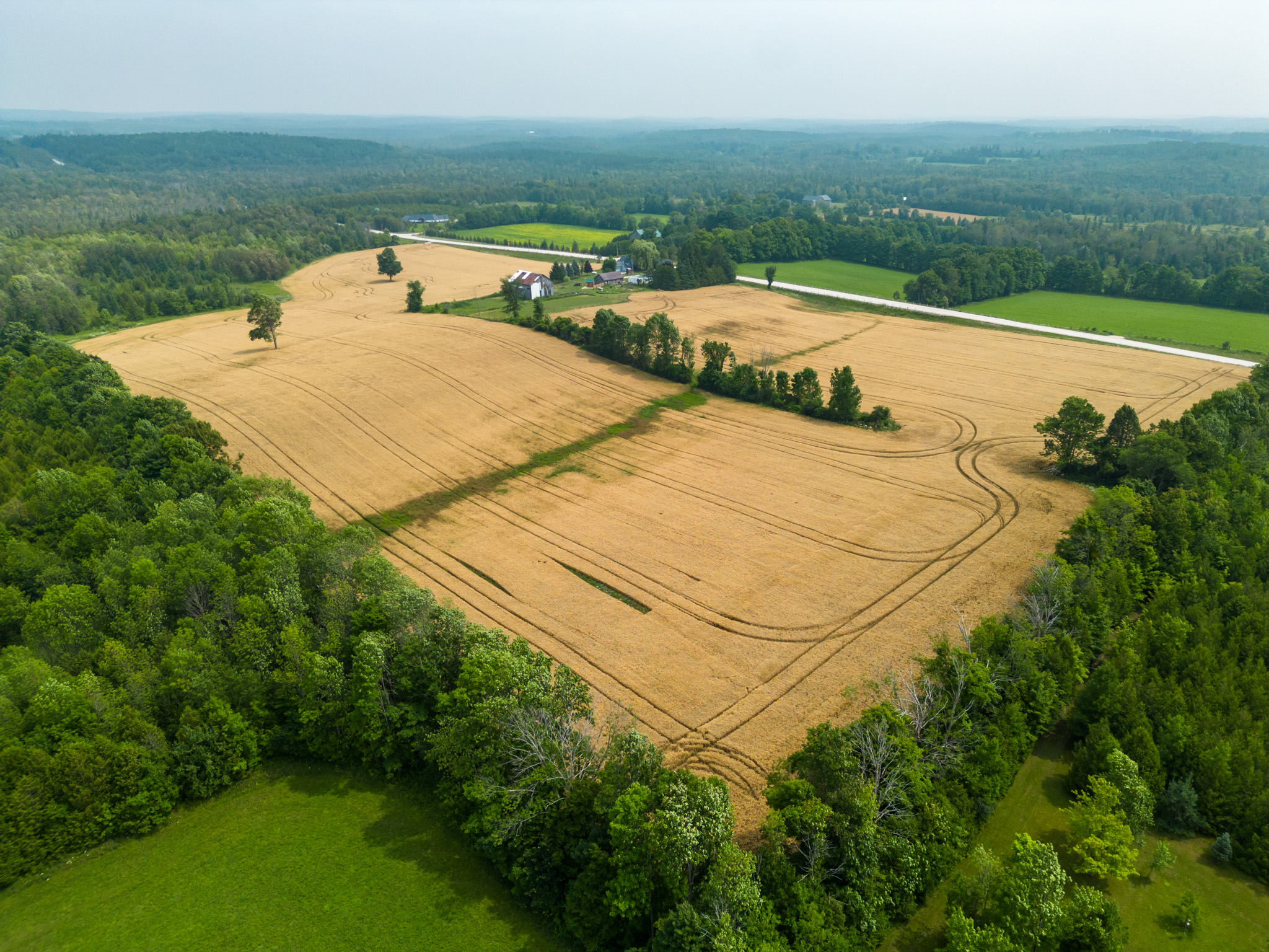Elmood Farms For Sale