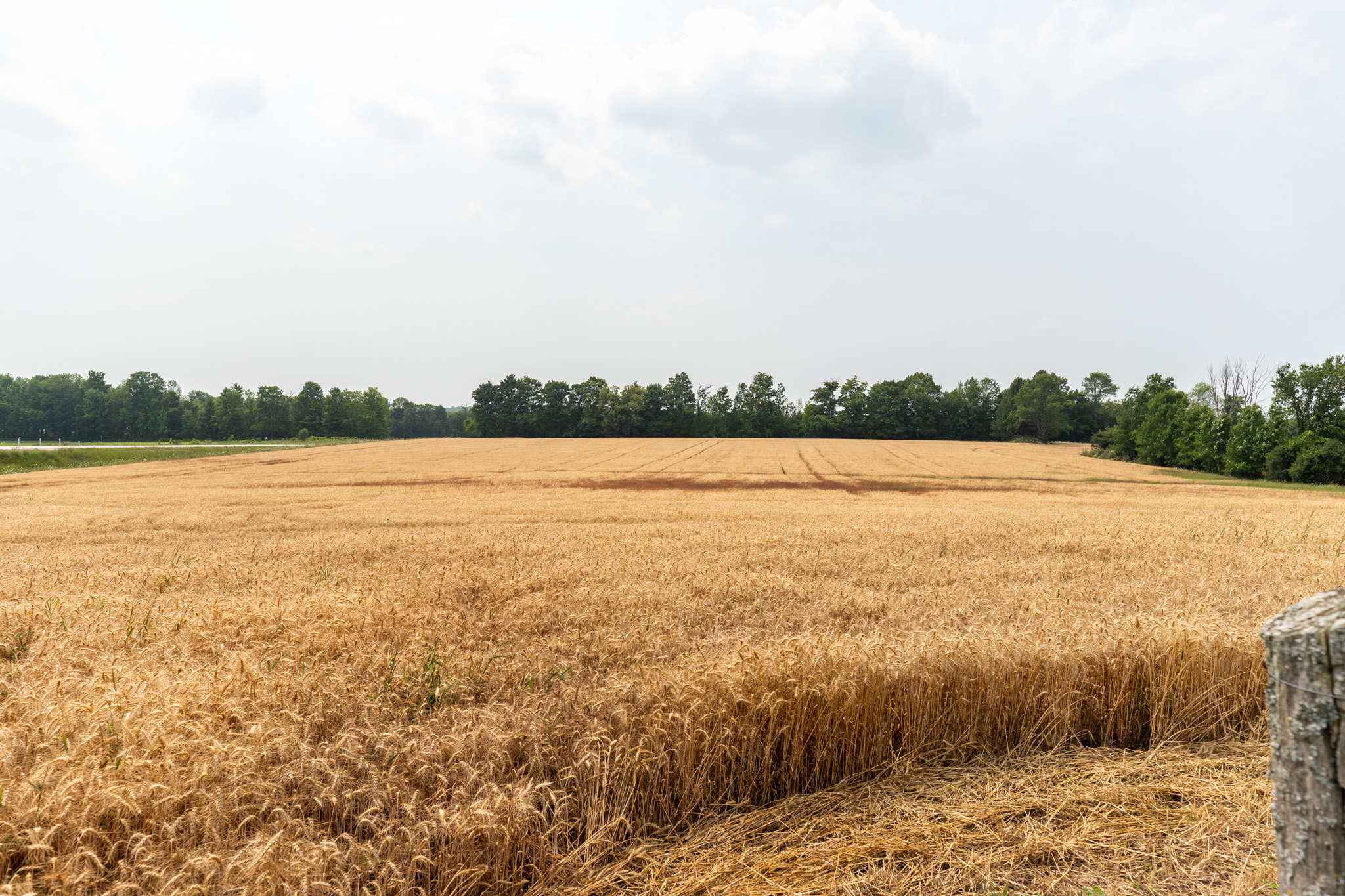 Elmood Farms For Sale