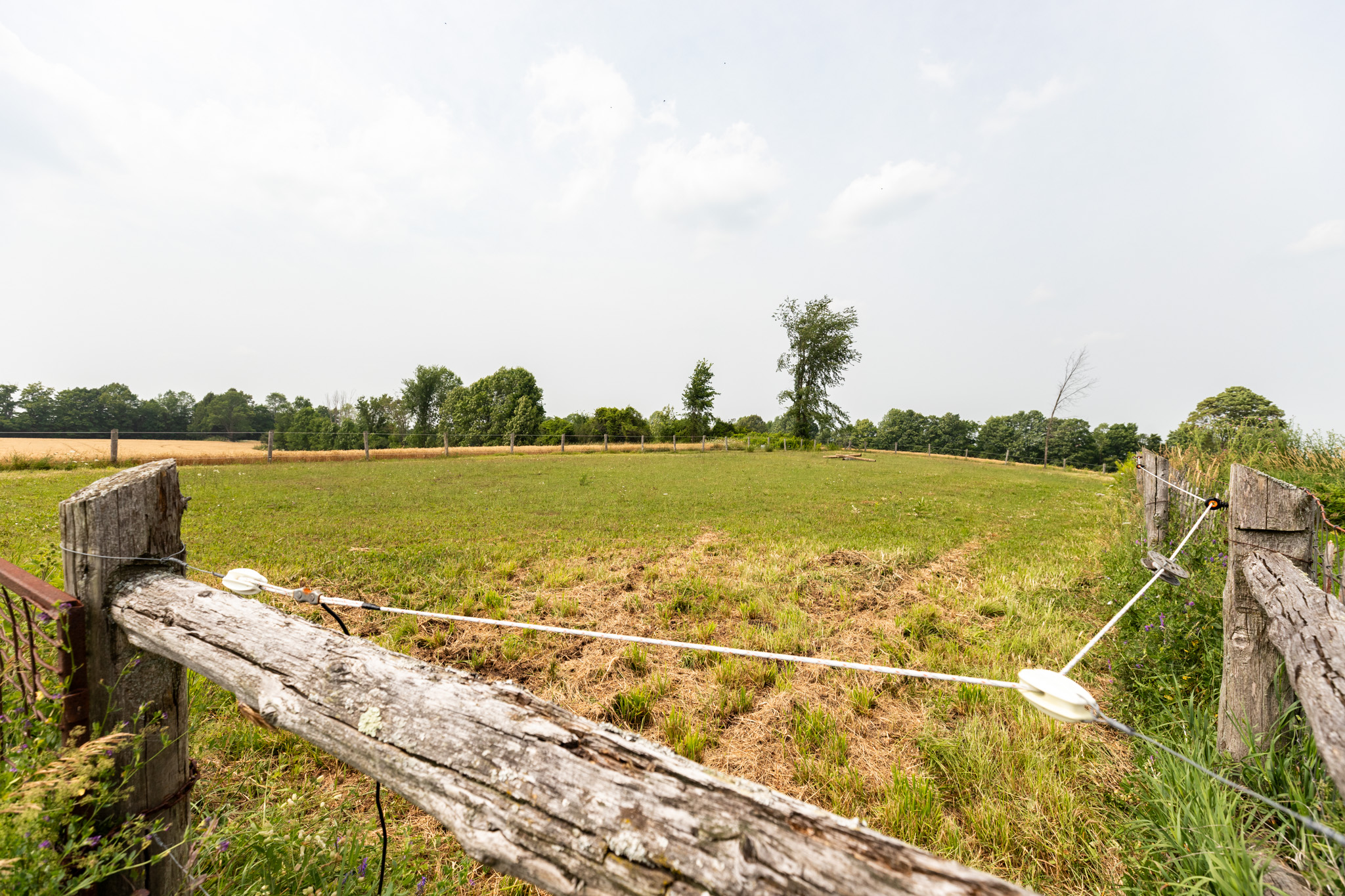 Elmood Farms For Sale