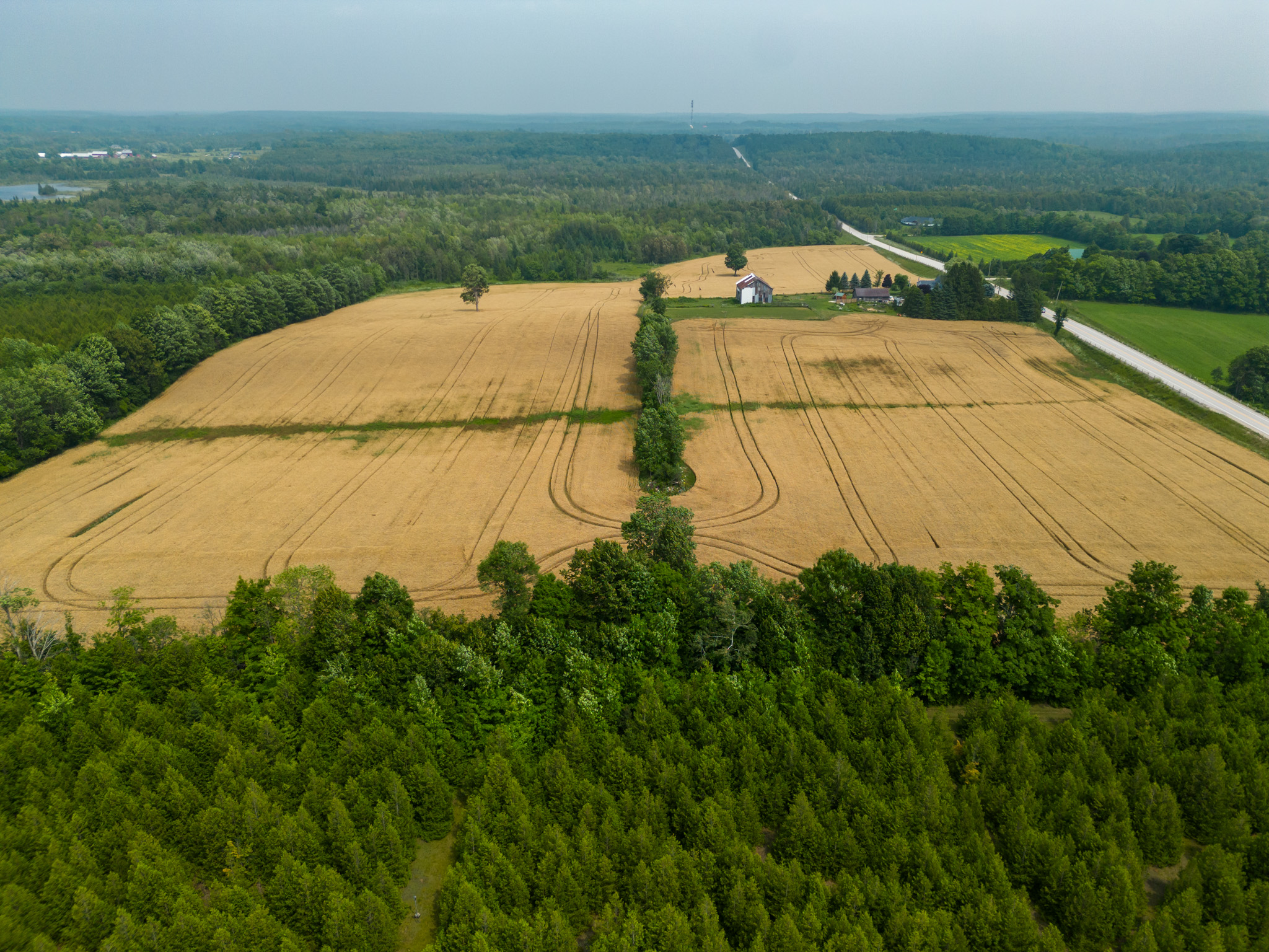 Elmood Farms For Sale